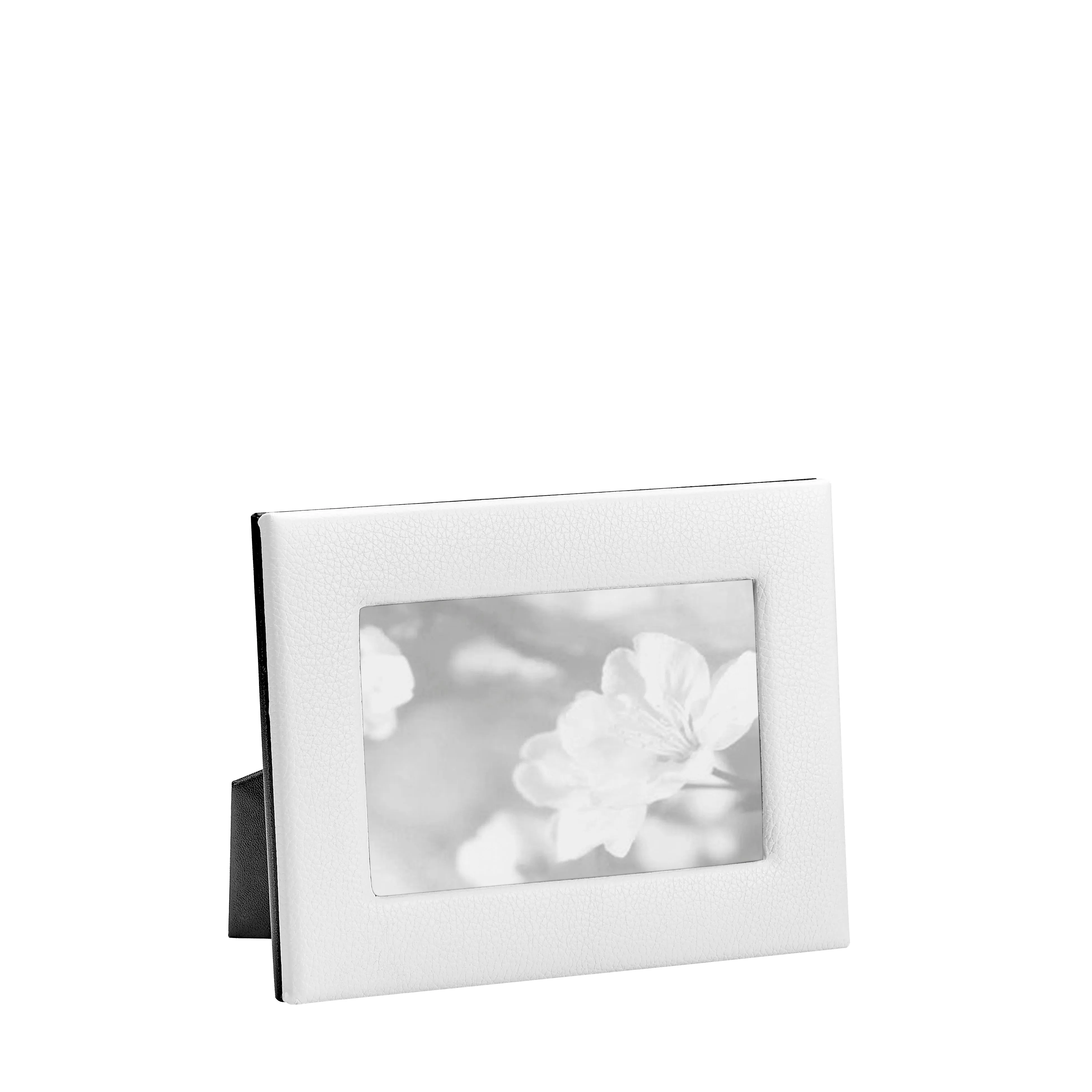 4" x 6" Studio Frame