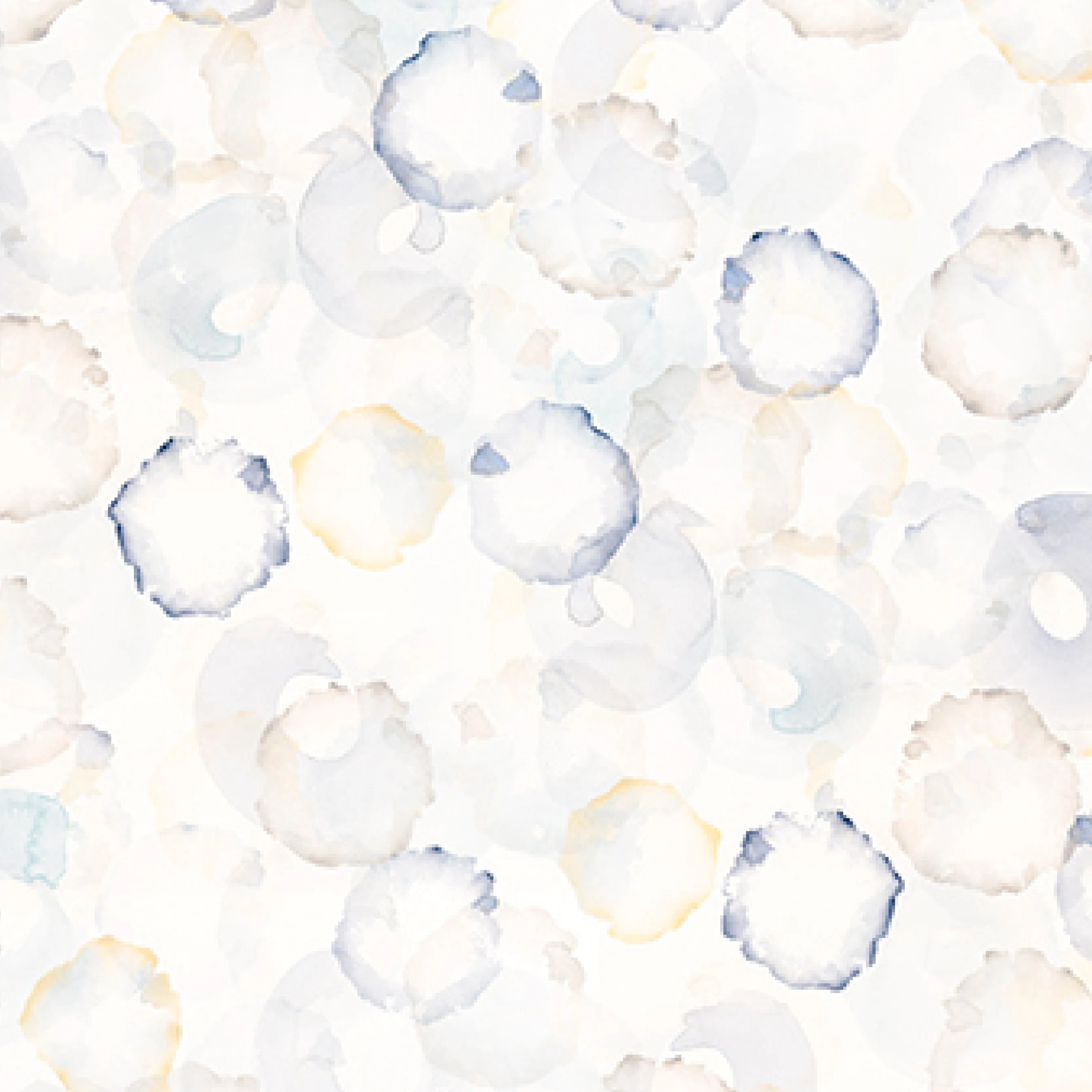 Amy-Sky Oyster 0021