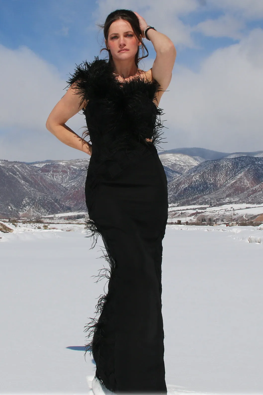 Asymmetrical Feather Silk Chiffon Gown