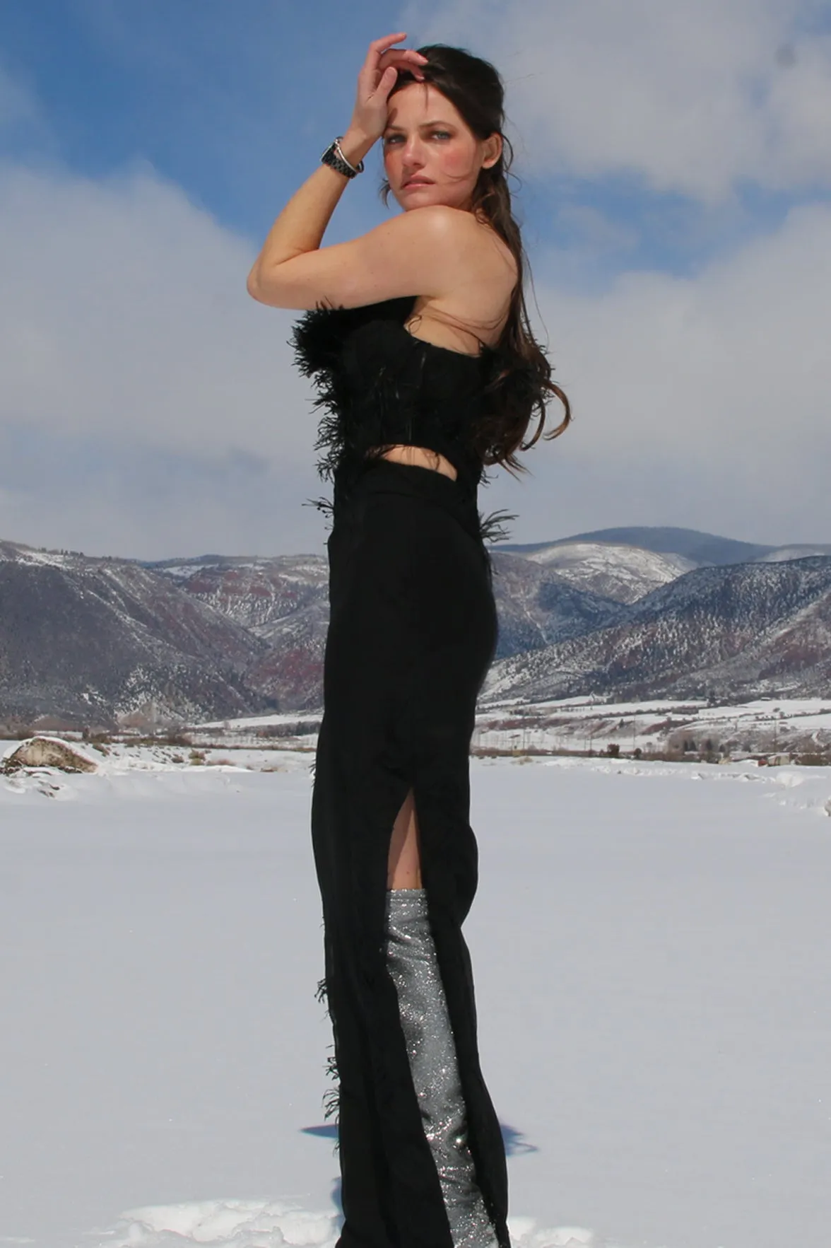 Asymmetrical Feather Silk Chiffon Gown