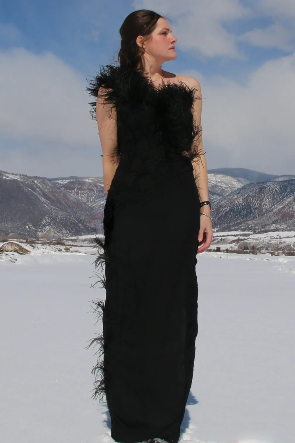 Asymmetrical Feather Silk Chiffon Gown