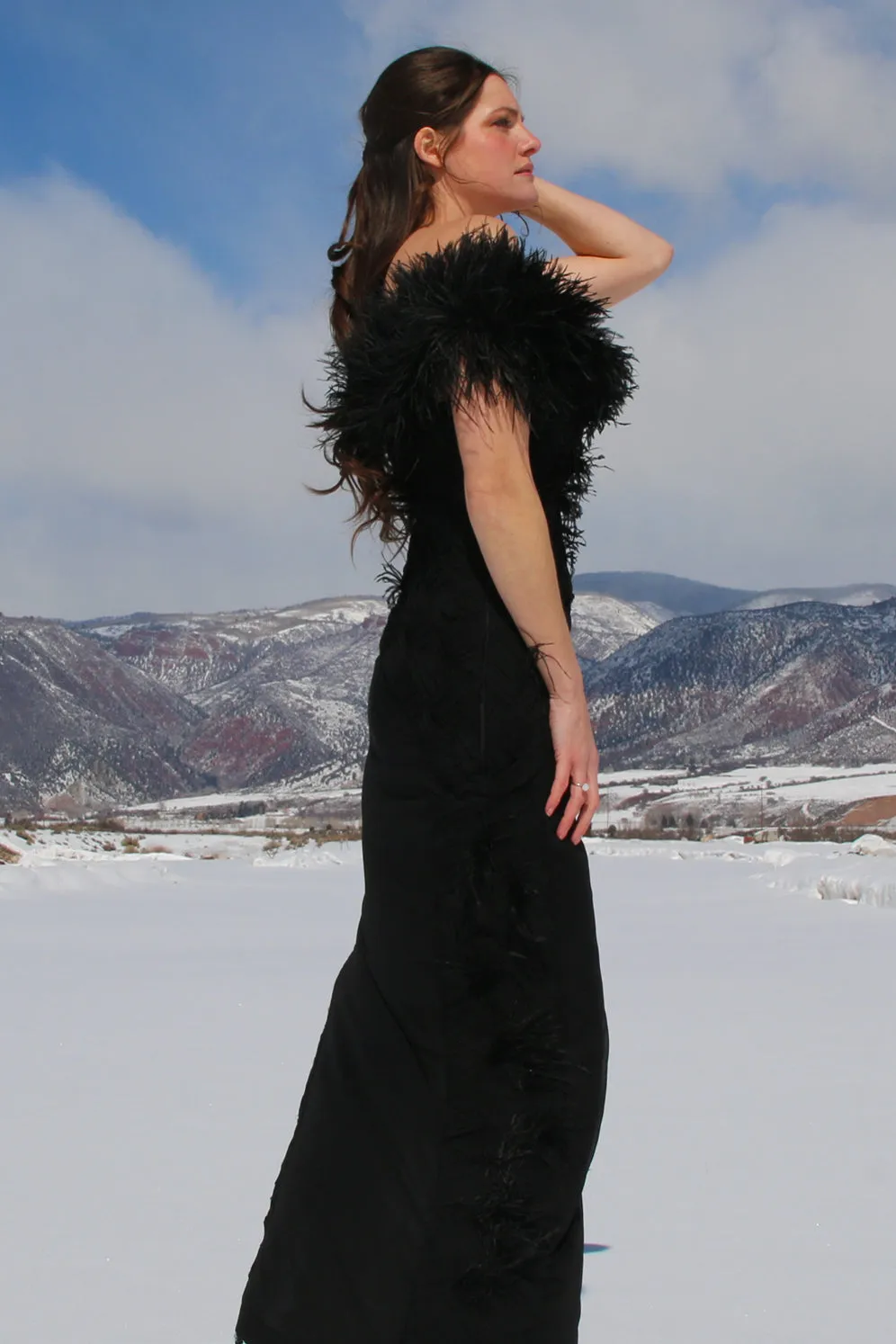 Asymmetrical Feather Silk Chiffon Gown