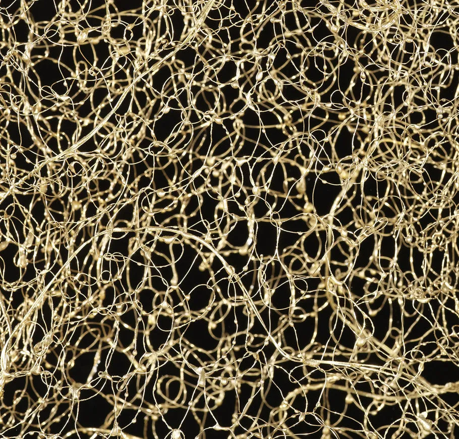 Auri Lucida (Gold Light) SOLD