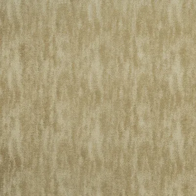 Baker-Camel
