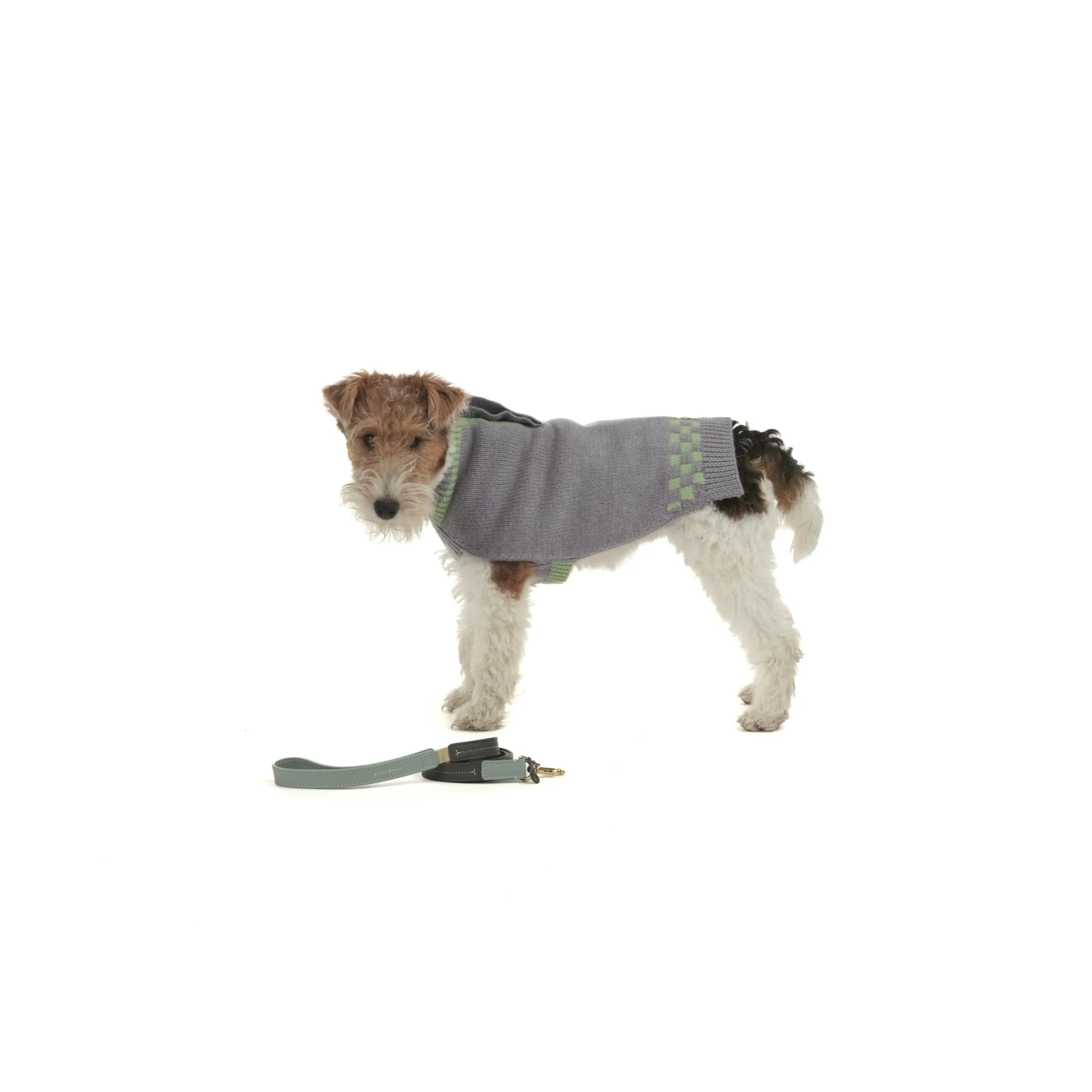 Bauhaus Dog Collar