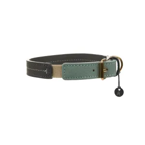 Bauhaus Dog Collar