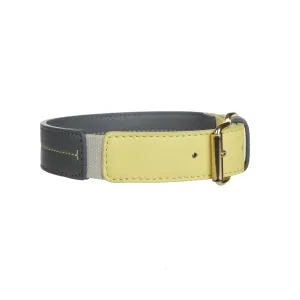 Bauhaus Dog Collar