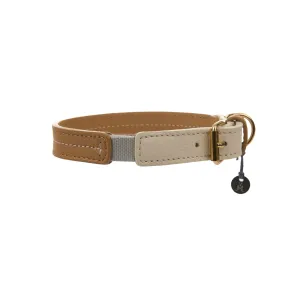 Bauhaus Dog Collar