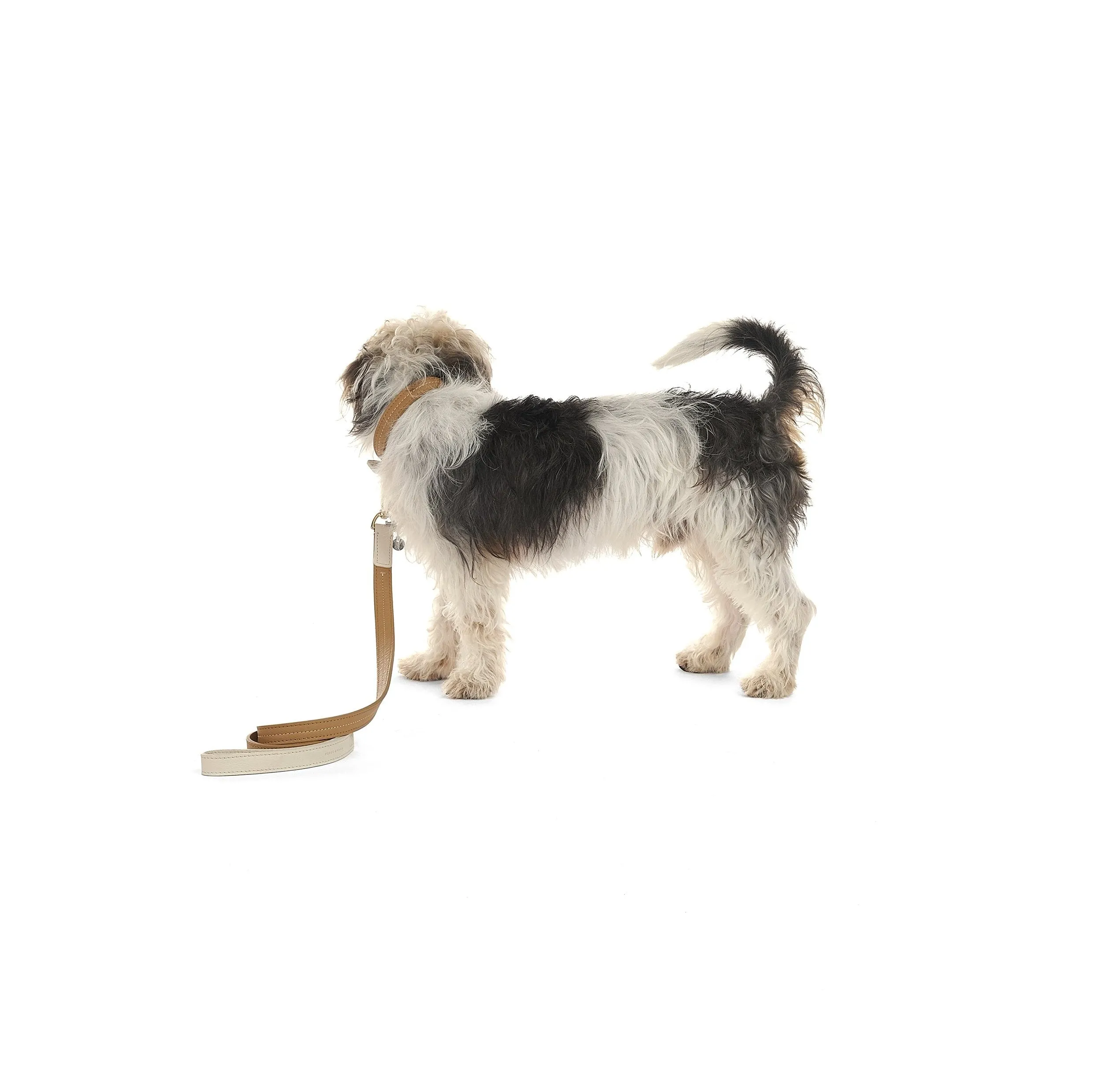 Bauhaus Dog Collar