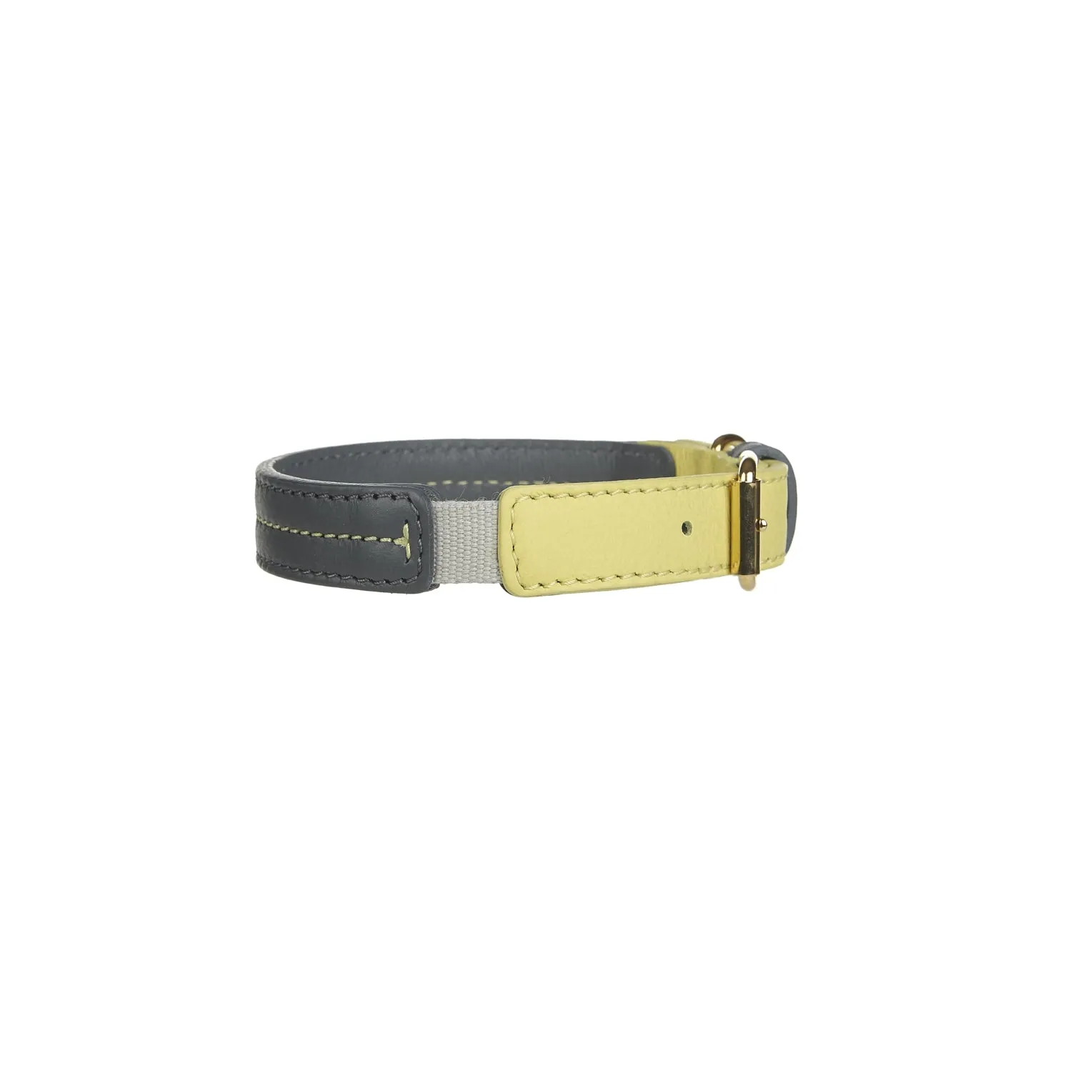Bauhaus Dog Collar