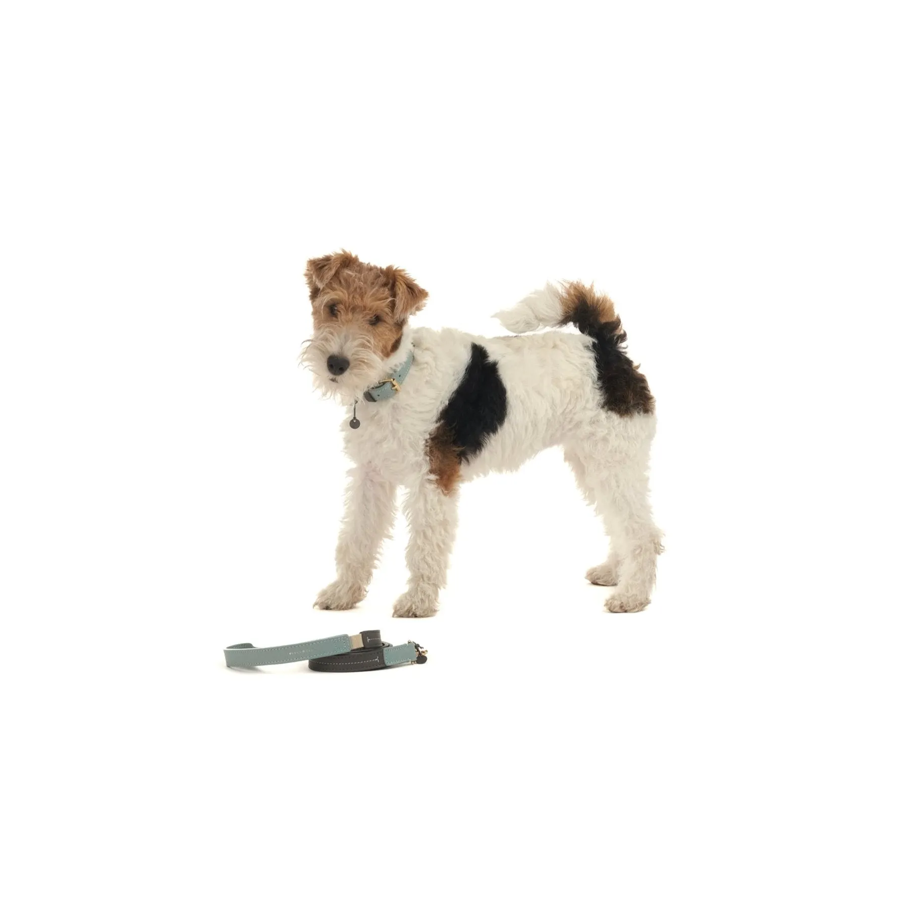 Bauhaus Dog Lead
