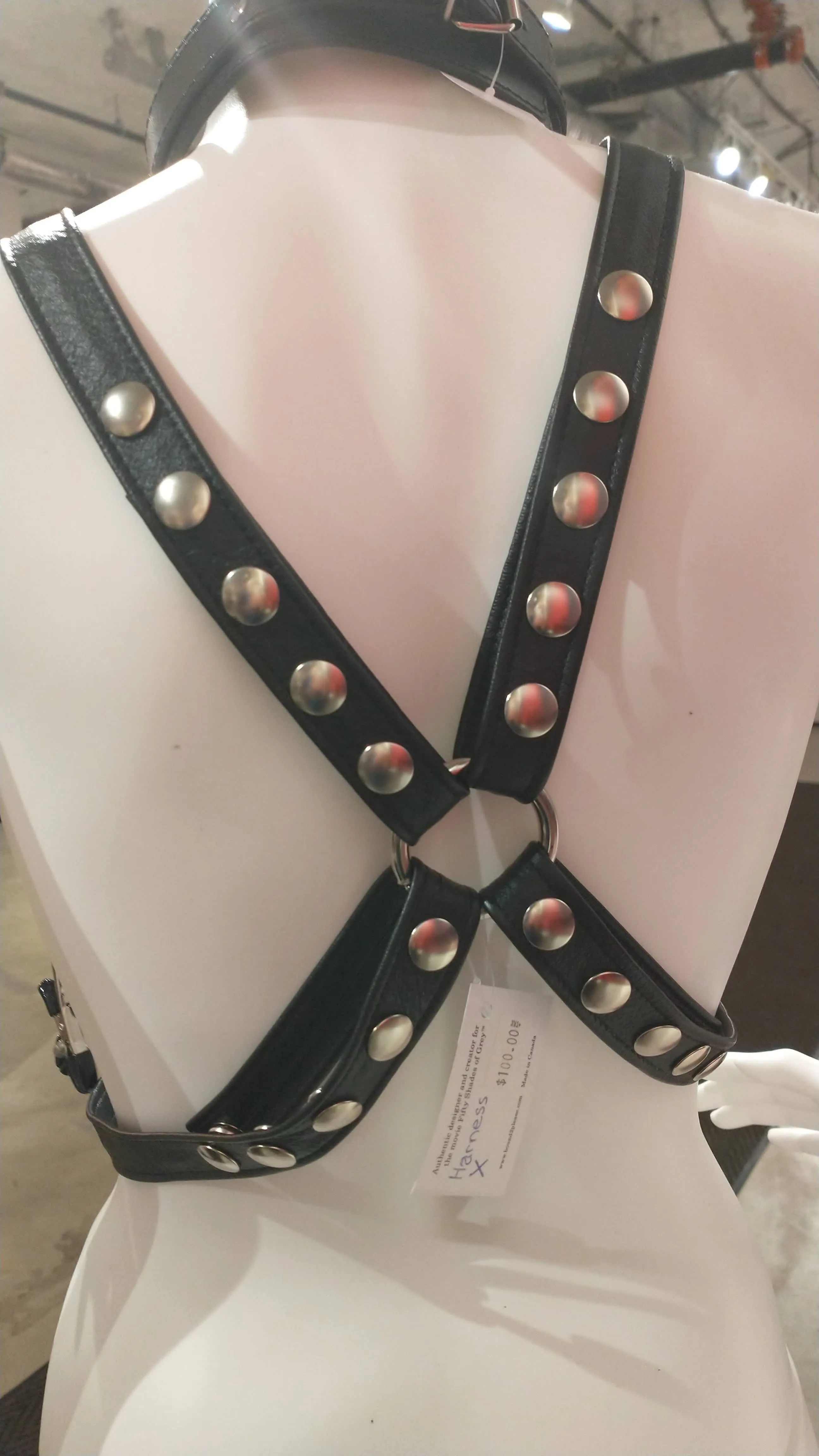Body X Harness ~ Bound 2 Please