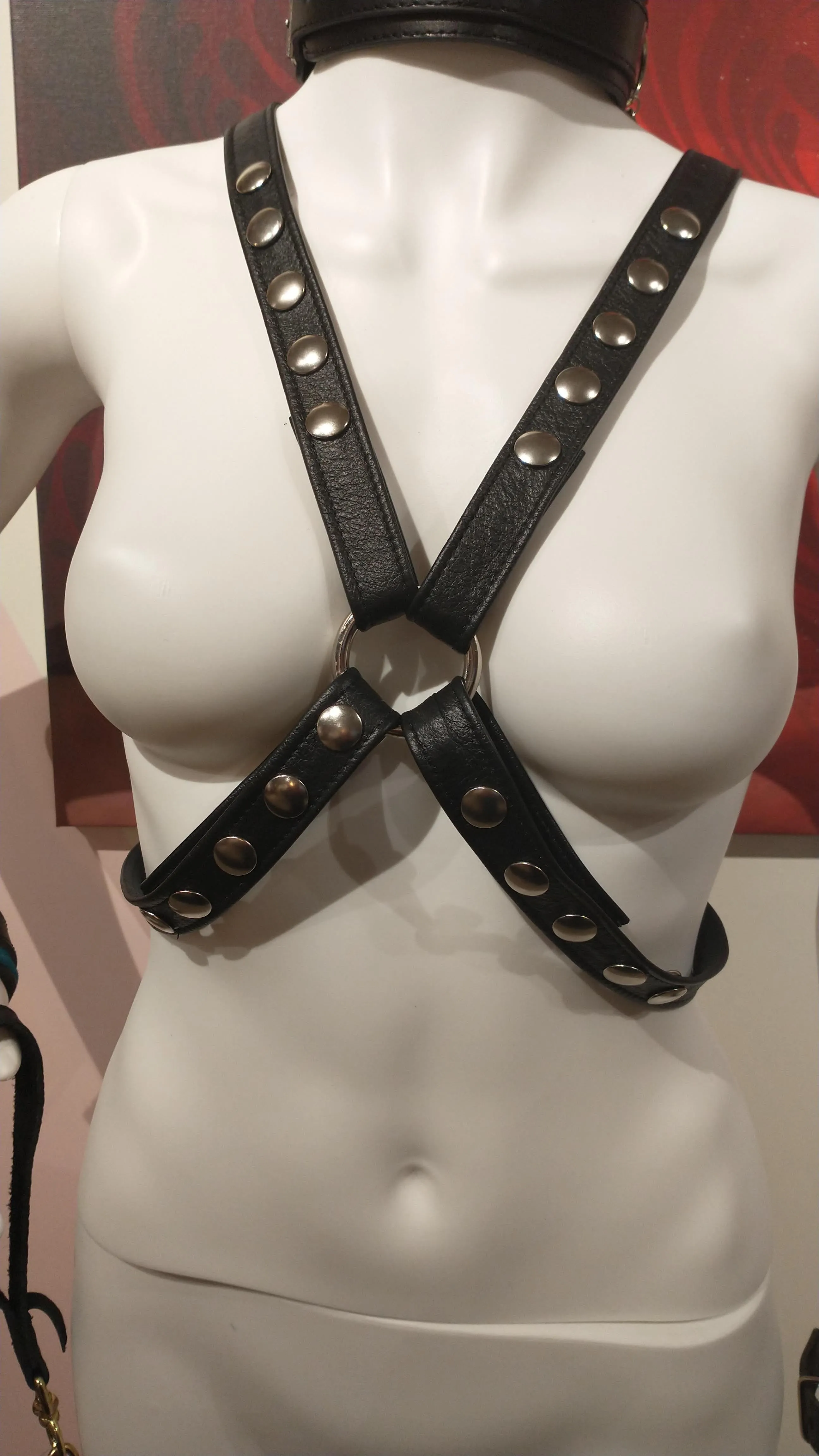 Body X Harness ~ Bound 2 Please