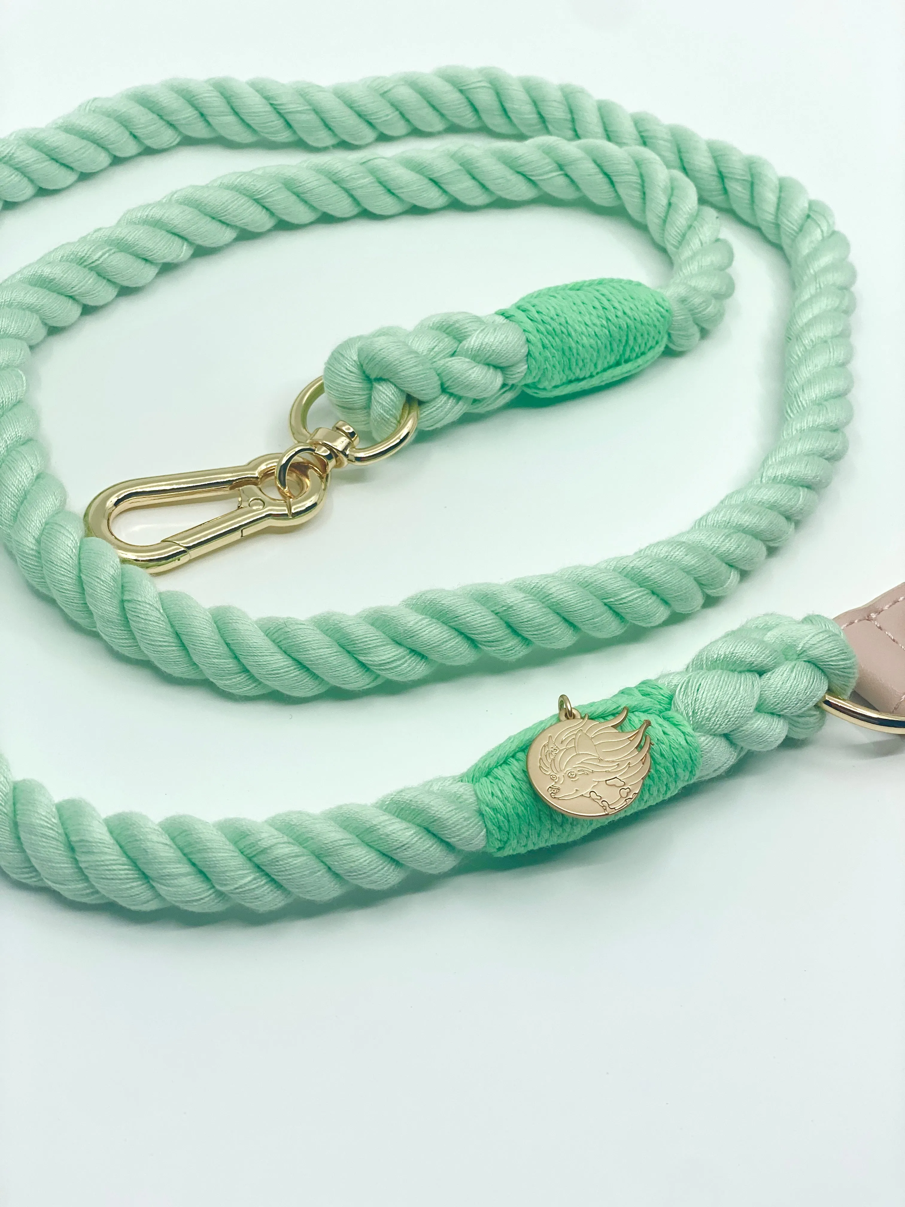 Braided Cotton Rope Dog Leash With Vegan Leather Handle - Fresh Mint