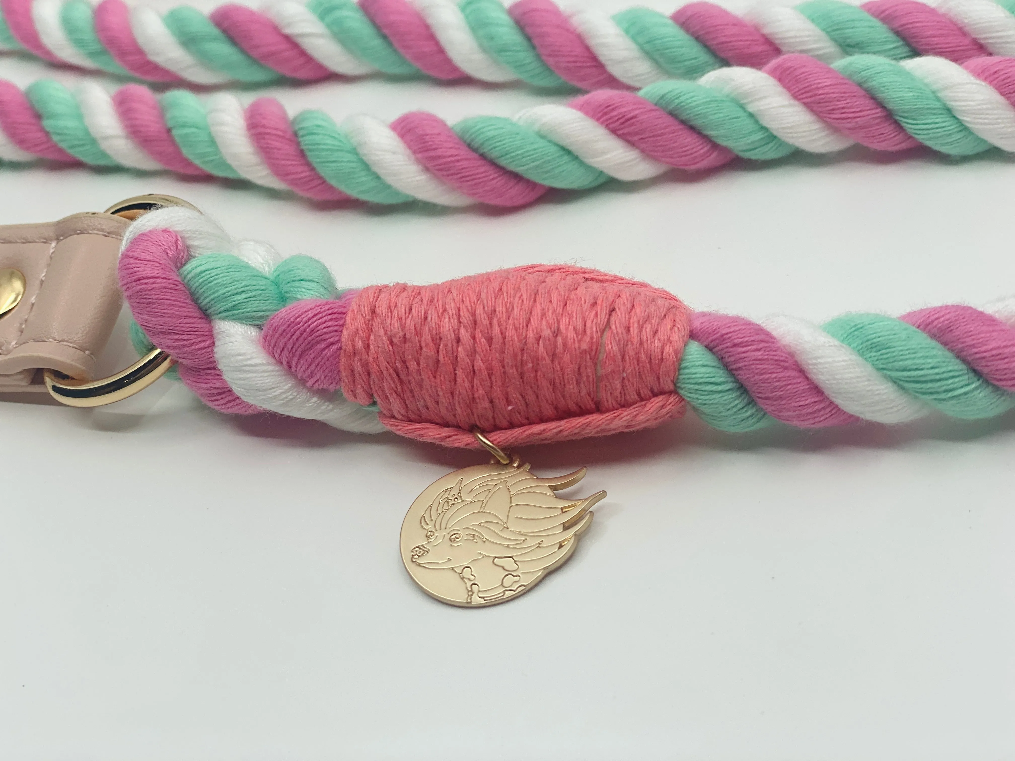 Braided Cotton Rope Dog Leash With Vegan Leather Handle - Macaron
