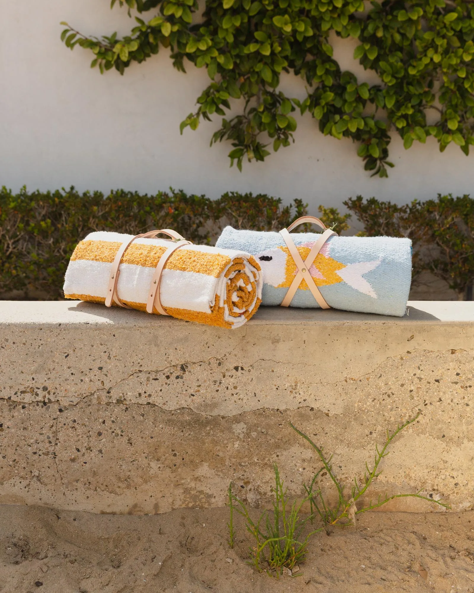 Caminito- Blanket Rolls