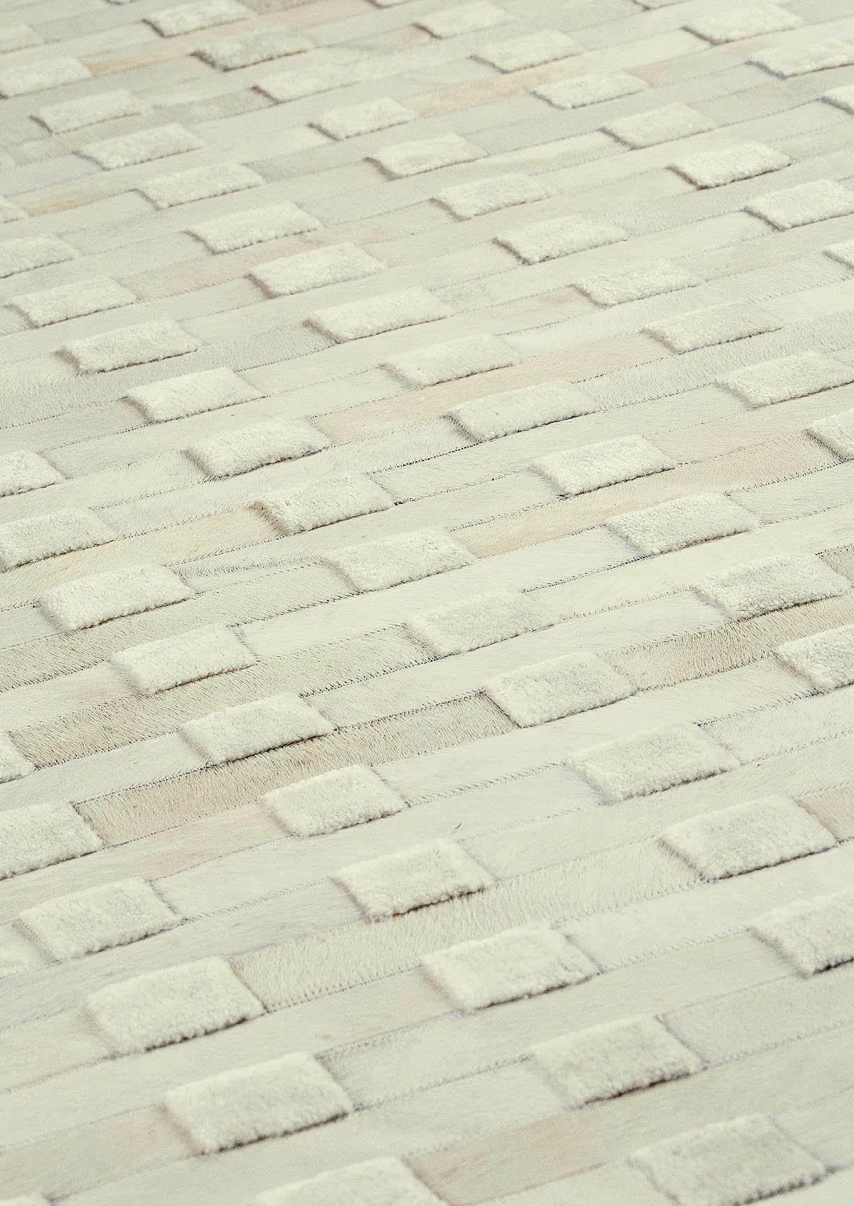 Canopus White