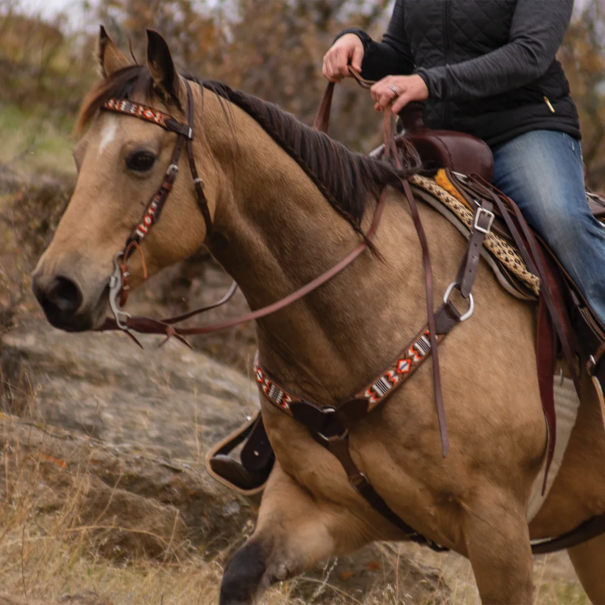 Cashel Tan and Orange Beaded Browband Headstall