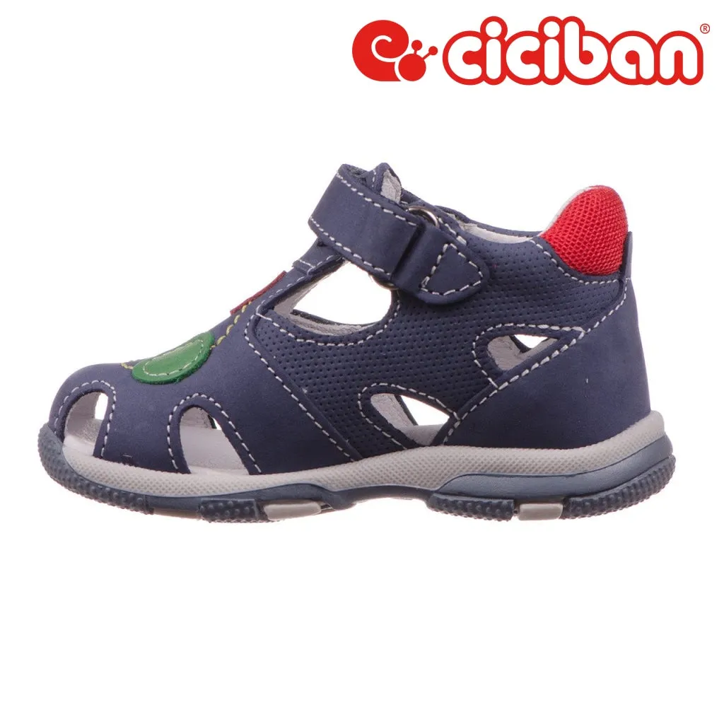 Ciciban Ocean 68