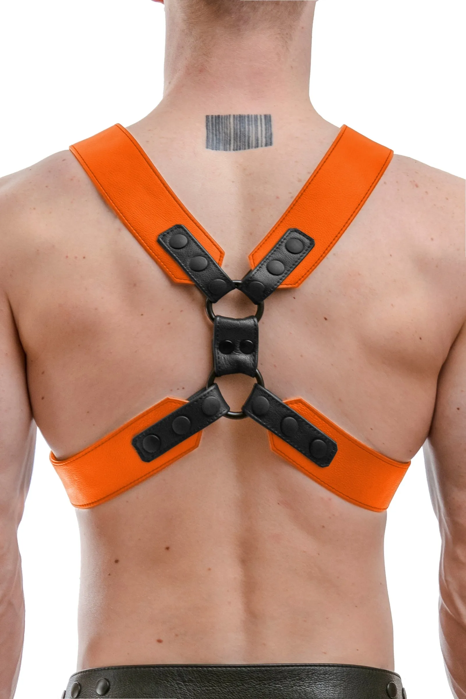 COMMANDER HARNESS - Colour