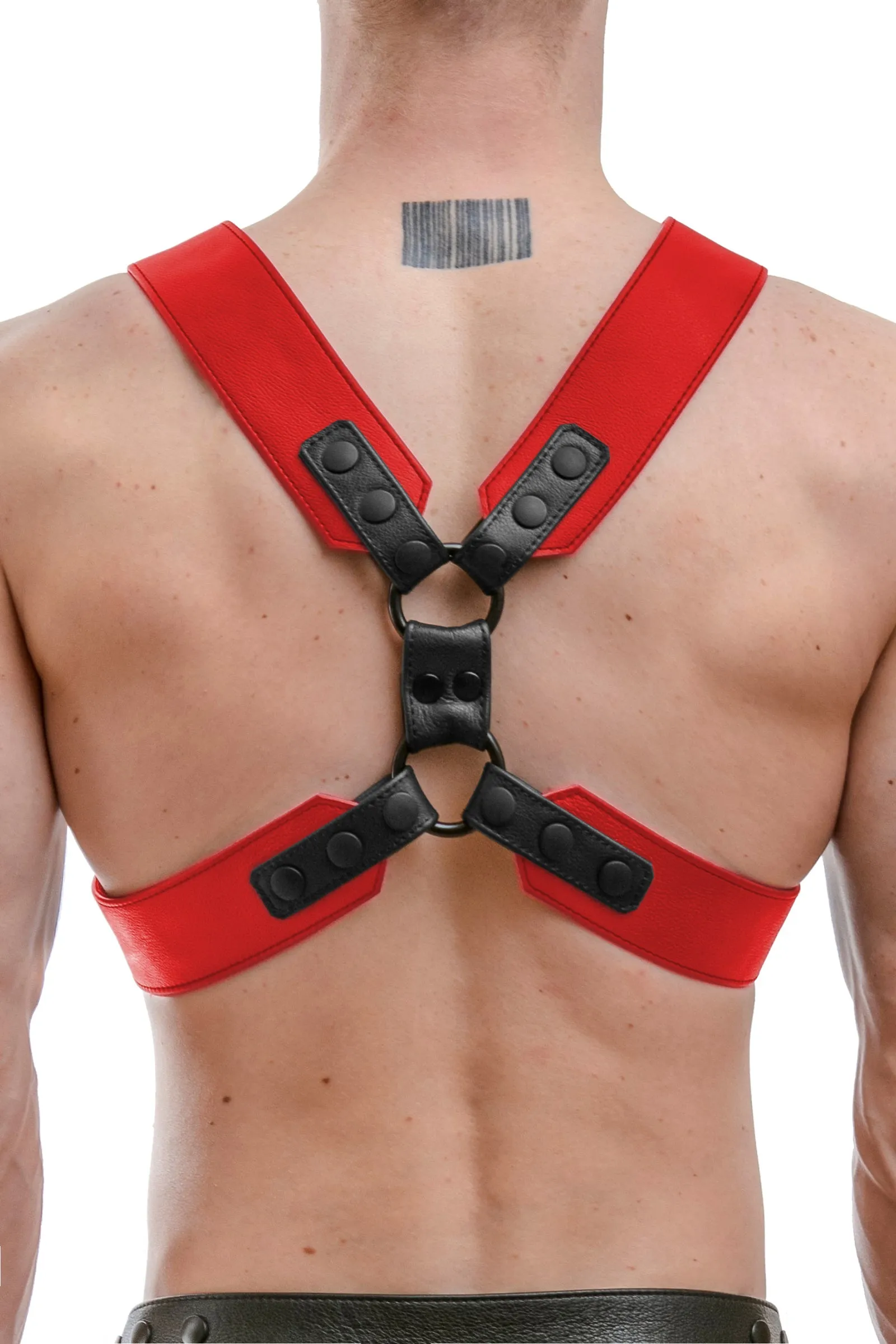COMMANDER HARNESS - Colour