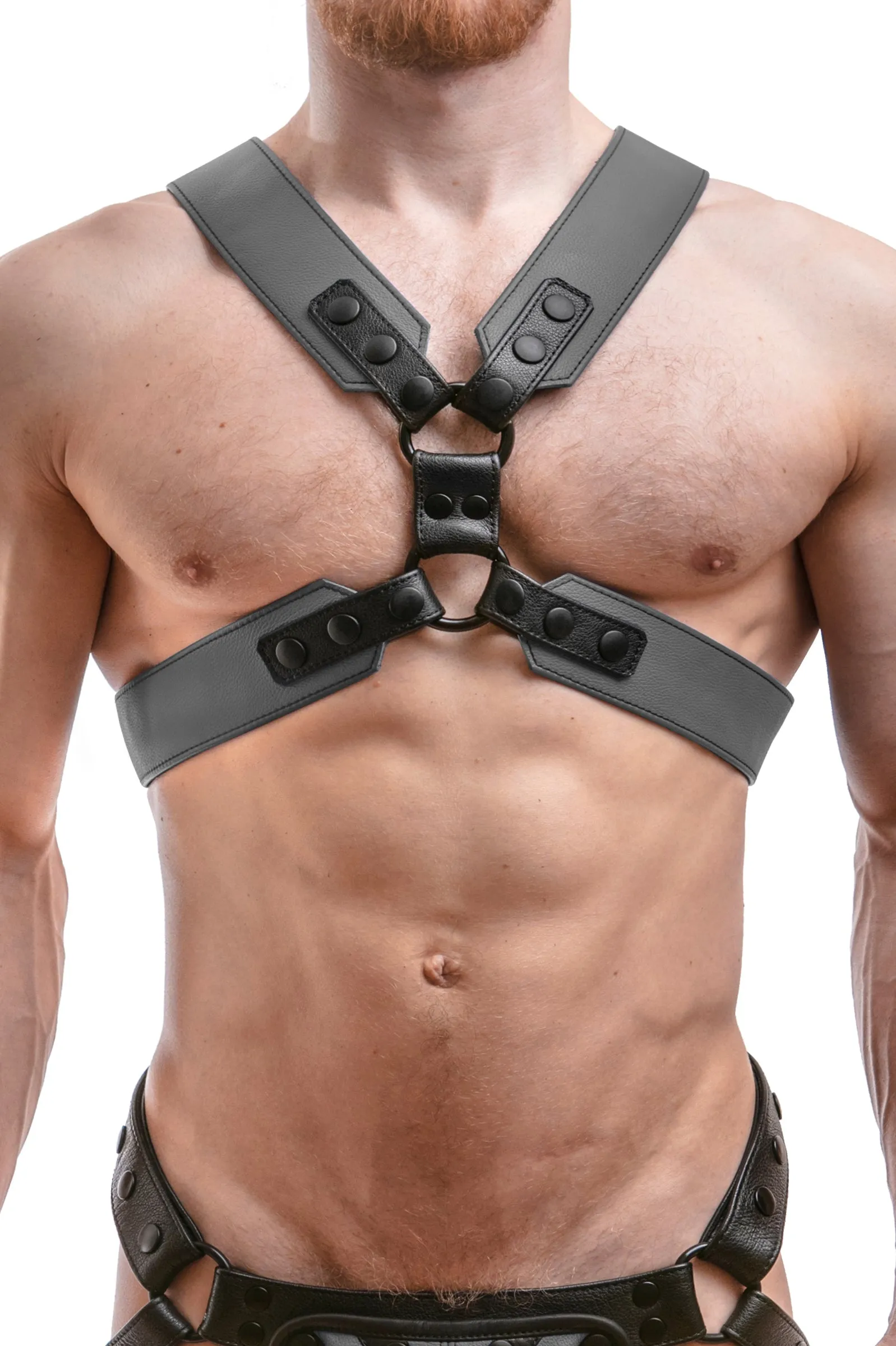 COMMANDER HARNESS - Colour