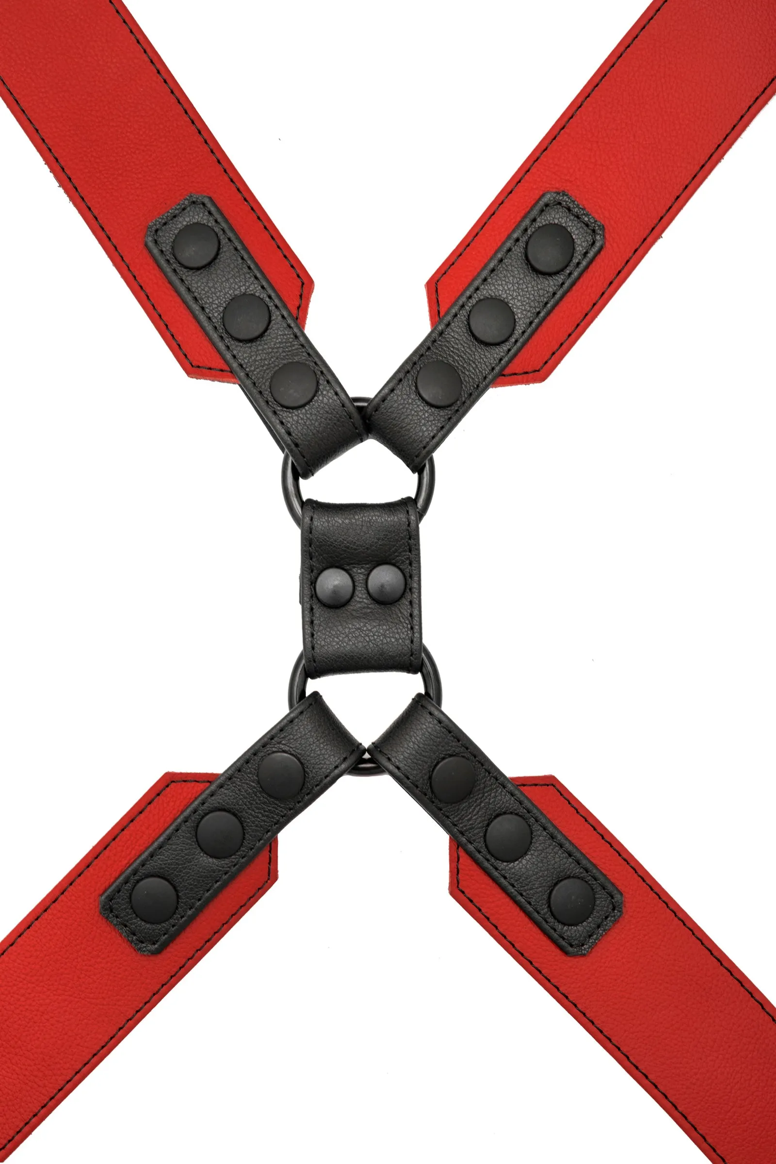 COMMANDER HARNESS - Colour