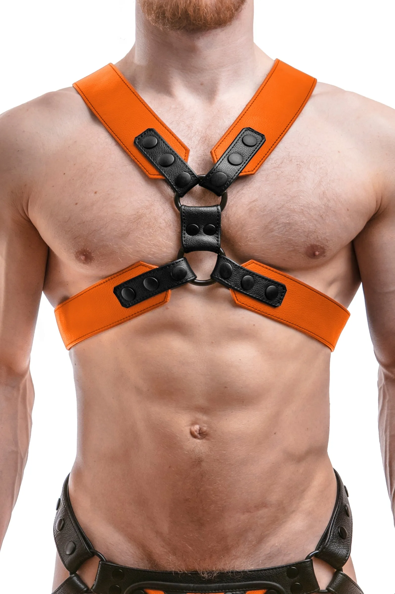 COMMANDER HARNESS - Colour