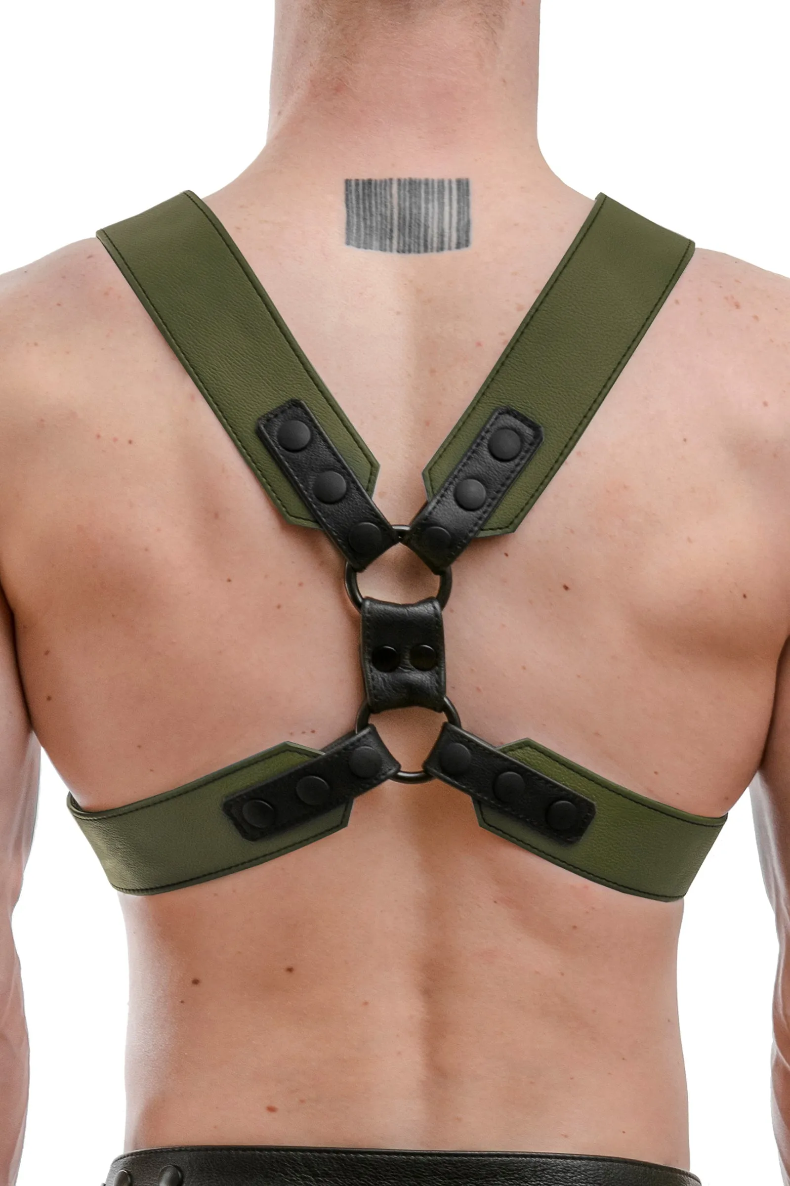 COMMANDER HARNESS - Colour