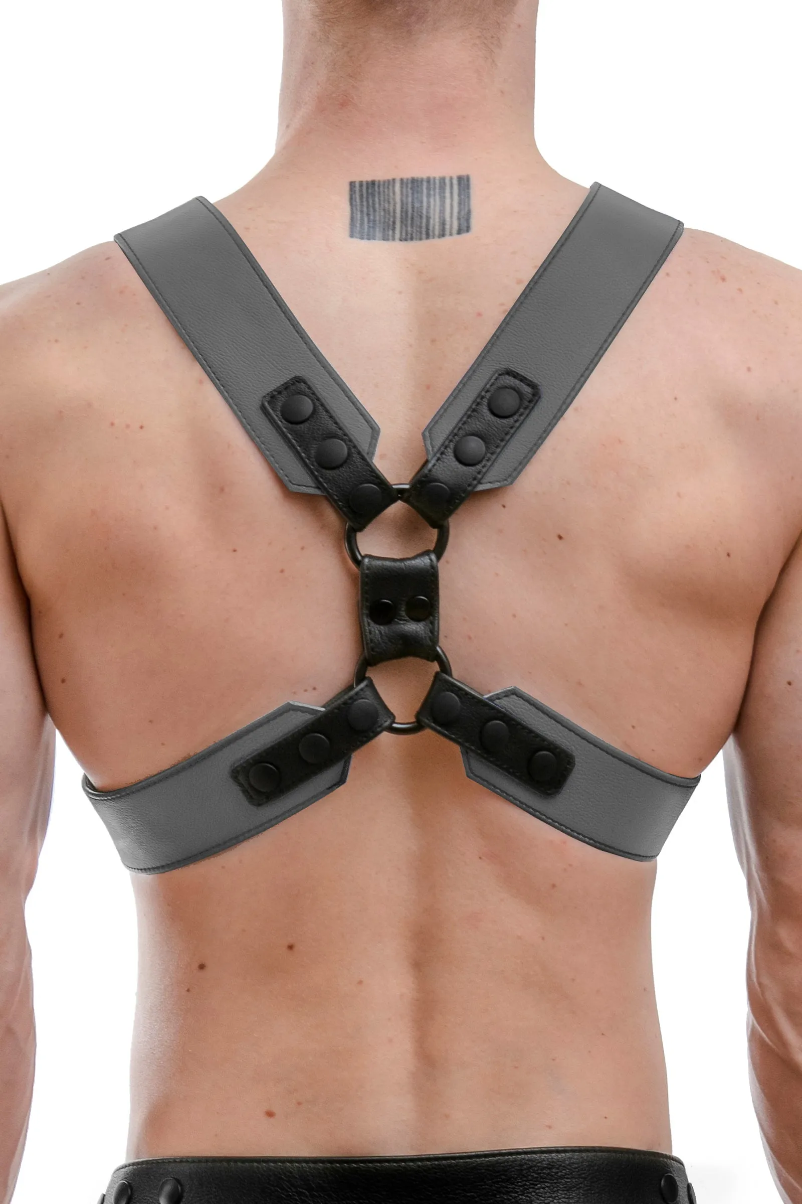 COMMANDER HARNESS - Colour