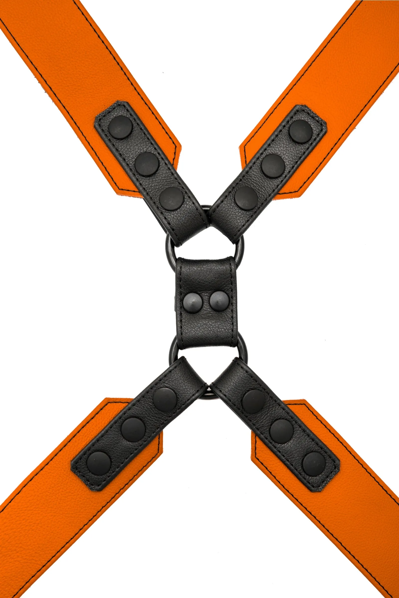COMMANDER HARNESS - Colour
