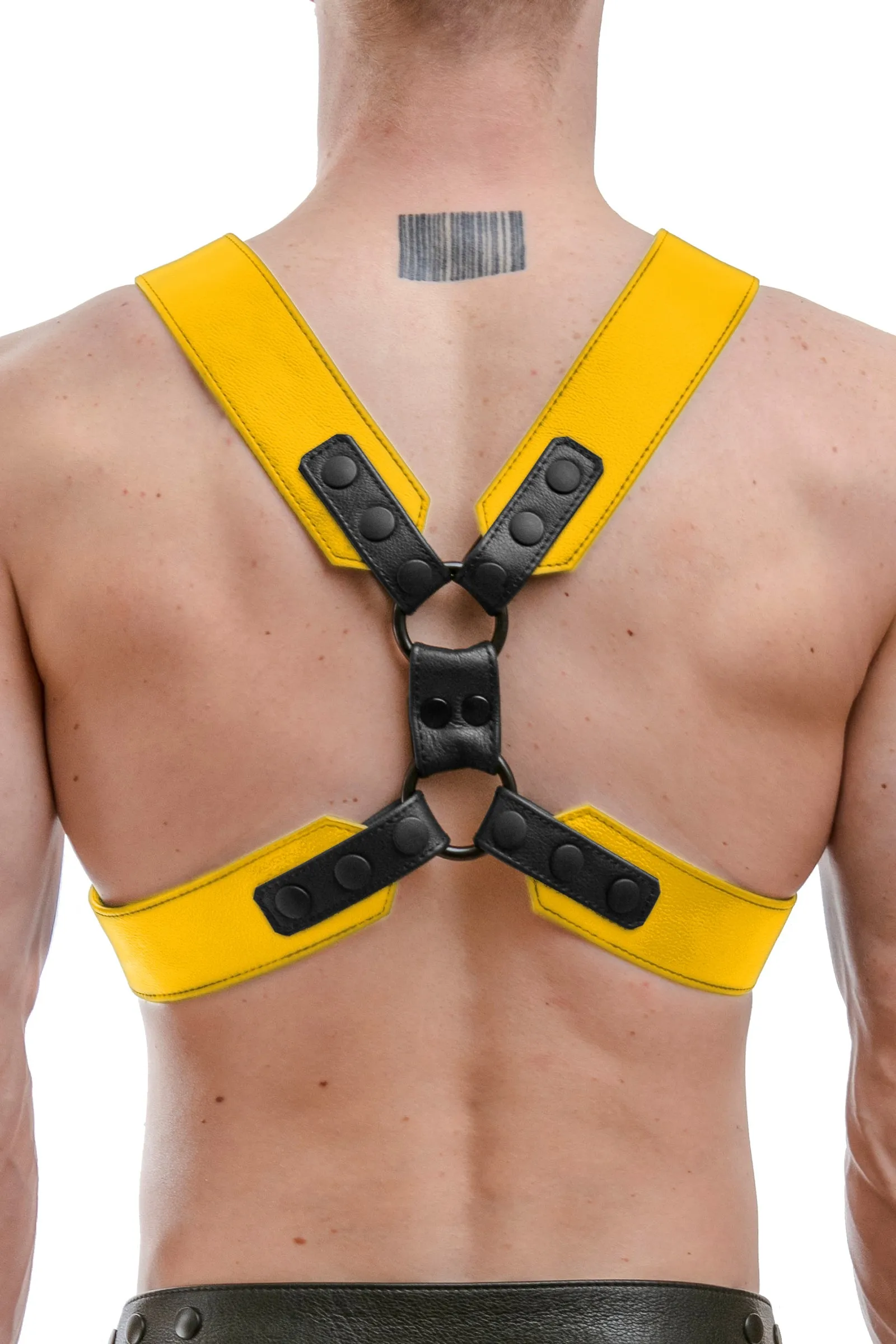 COMMANDER HARNESS - Colour