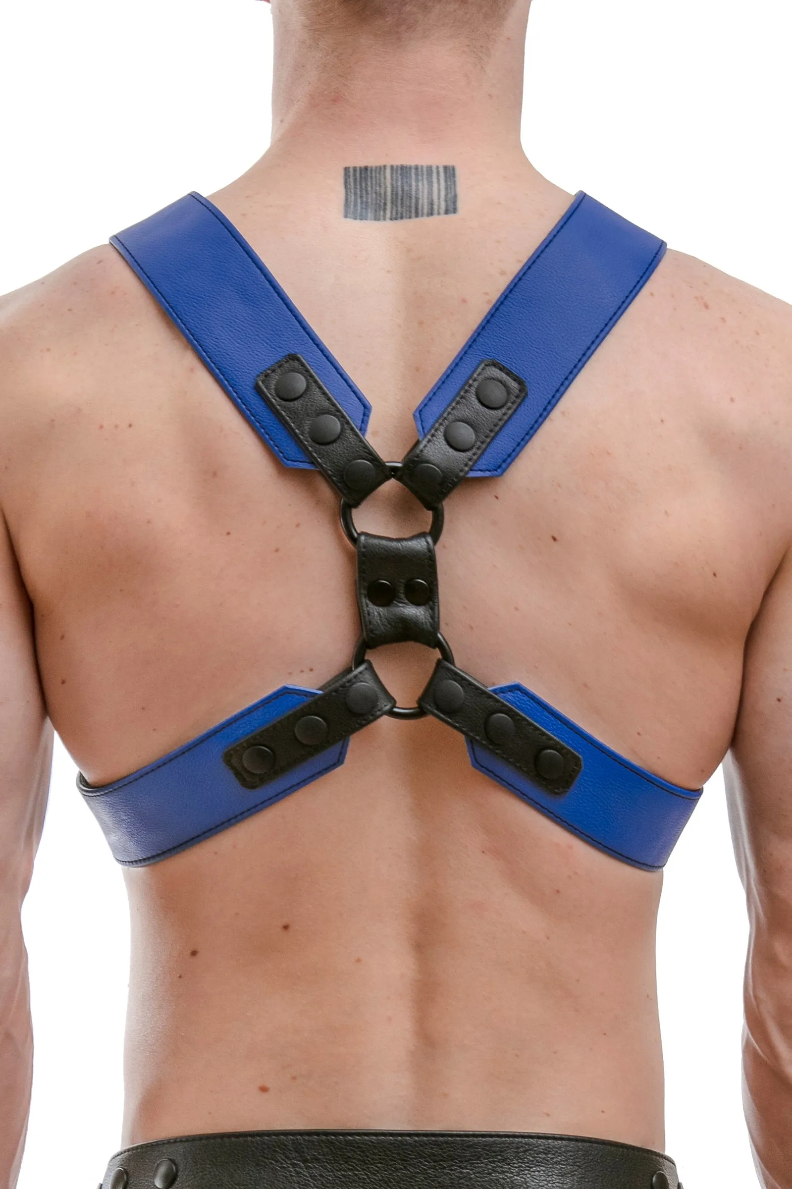 COMMANDER HARNESS - Colour