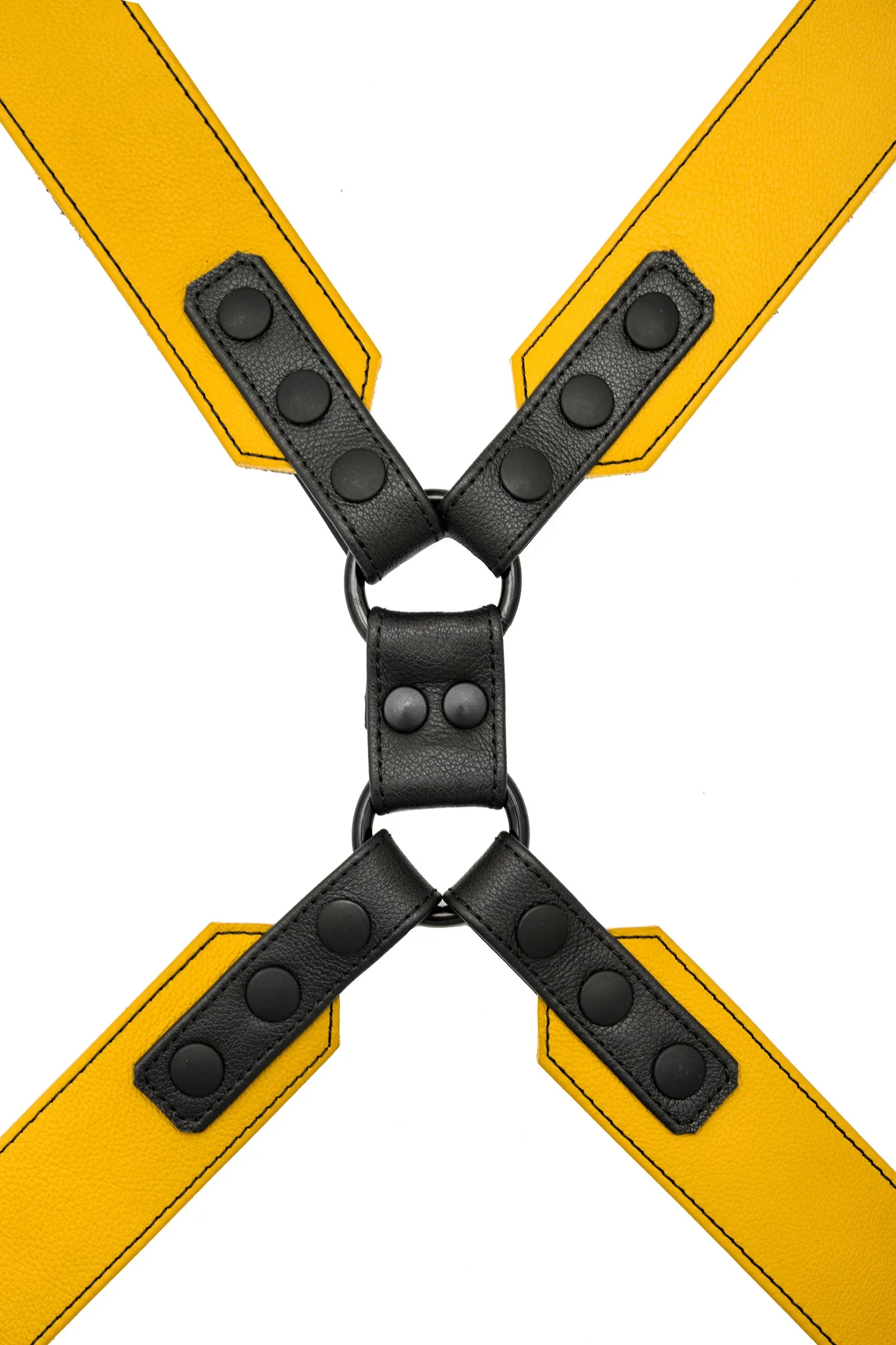 COMMANDER HARNESS - Colour