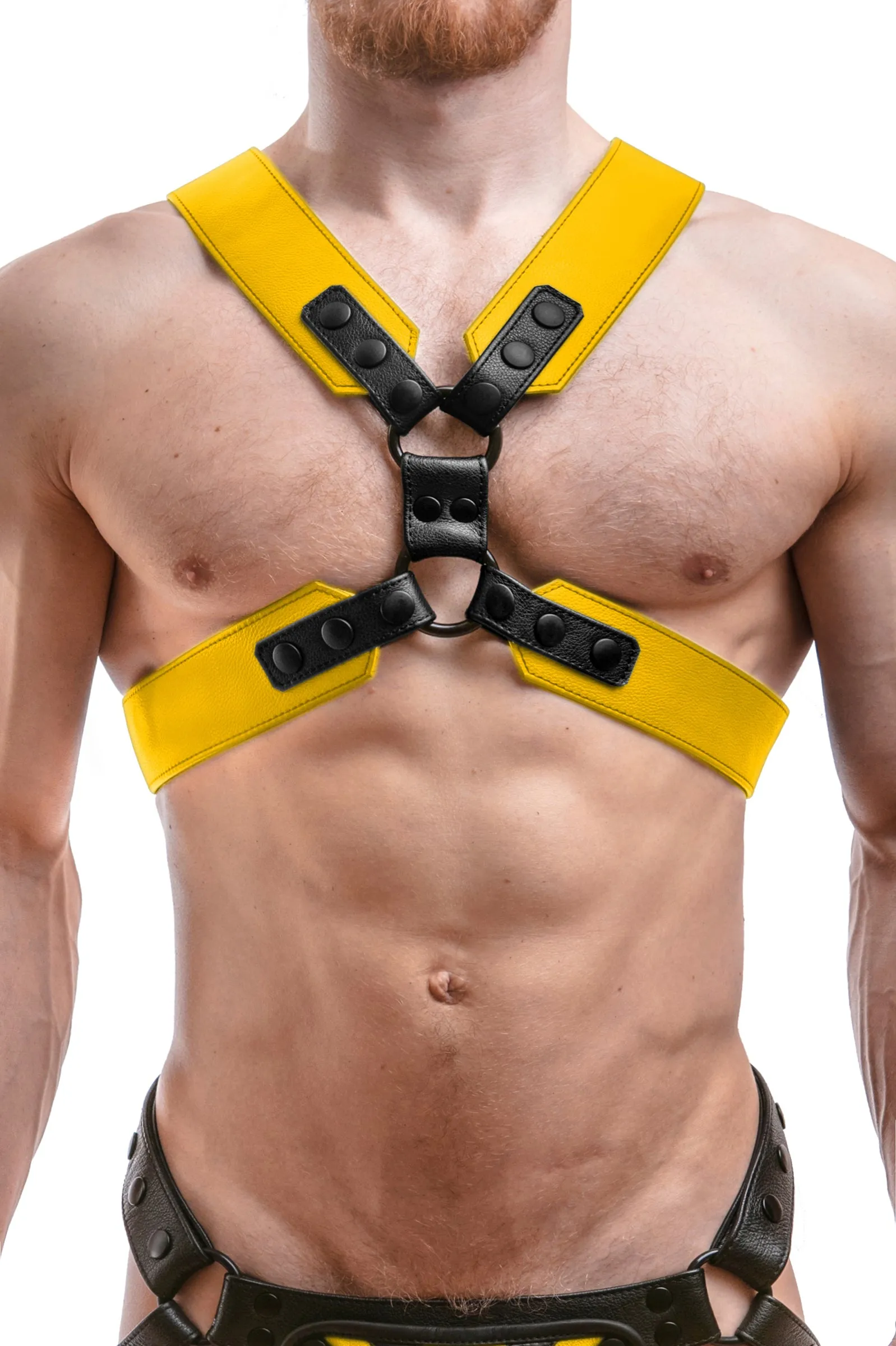 COMMANDER HARNESS - Colour