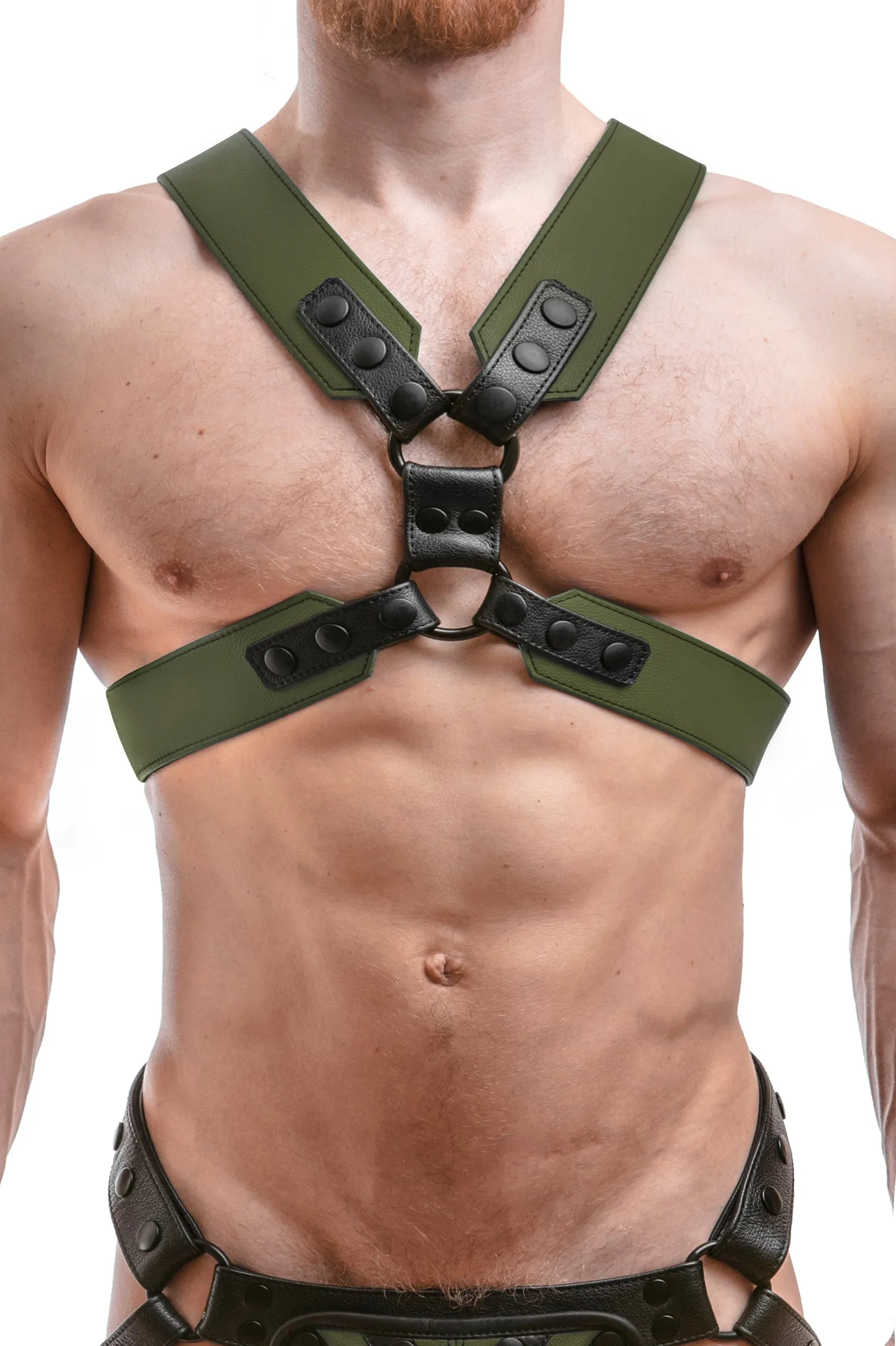 COMMANDER HARNESS - Colour
