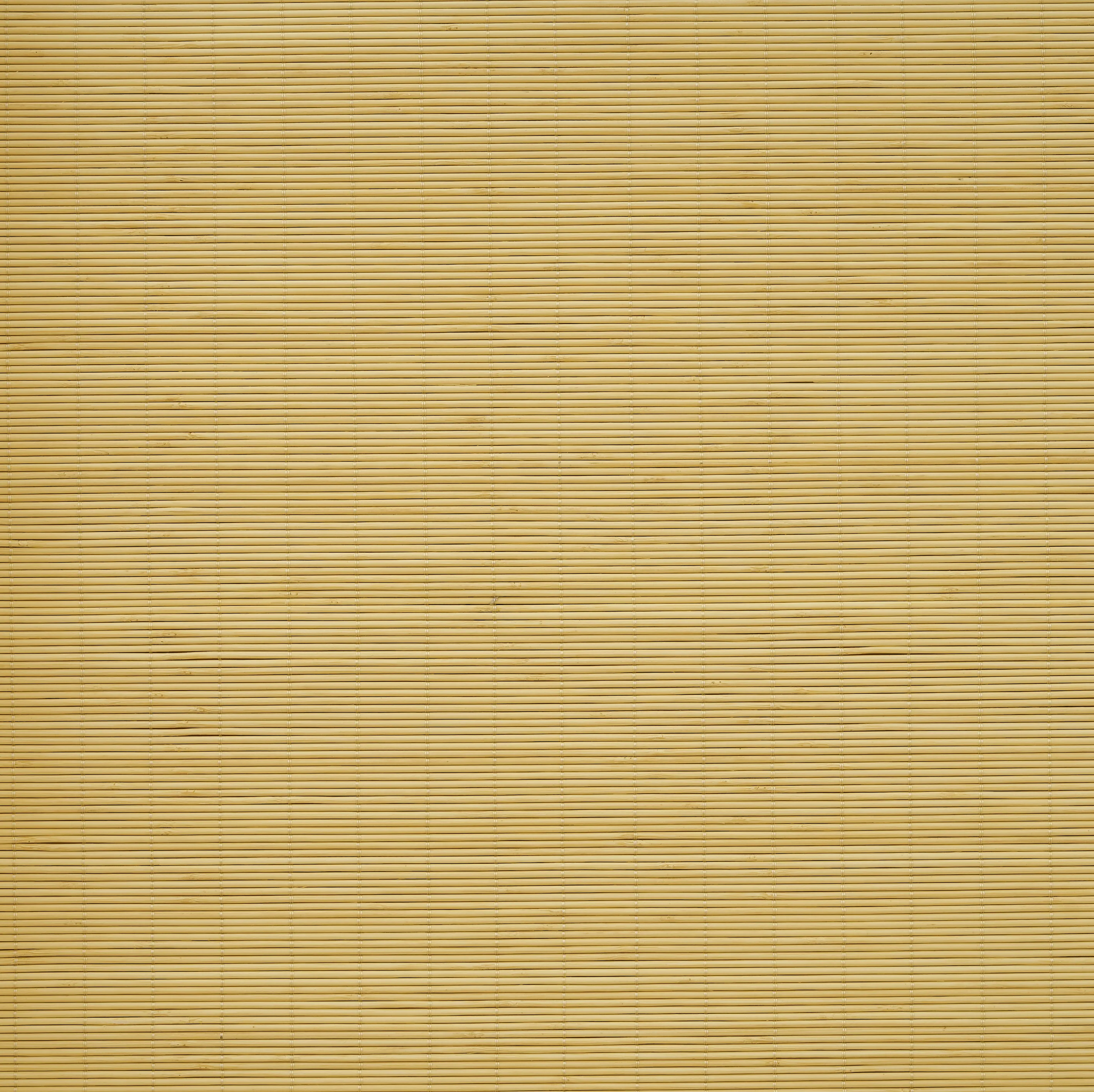 Cora Woven Bamboo Shade| Earthy Yellow