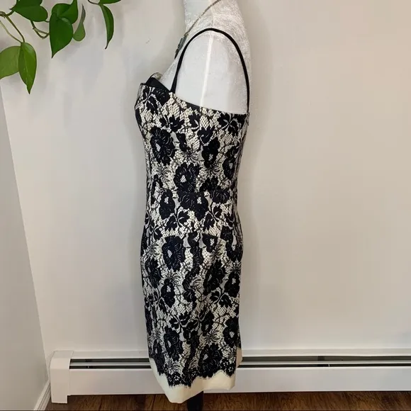 Genevieve Lace Illusion Original Milly of New York Dress.