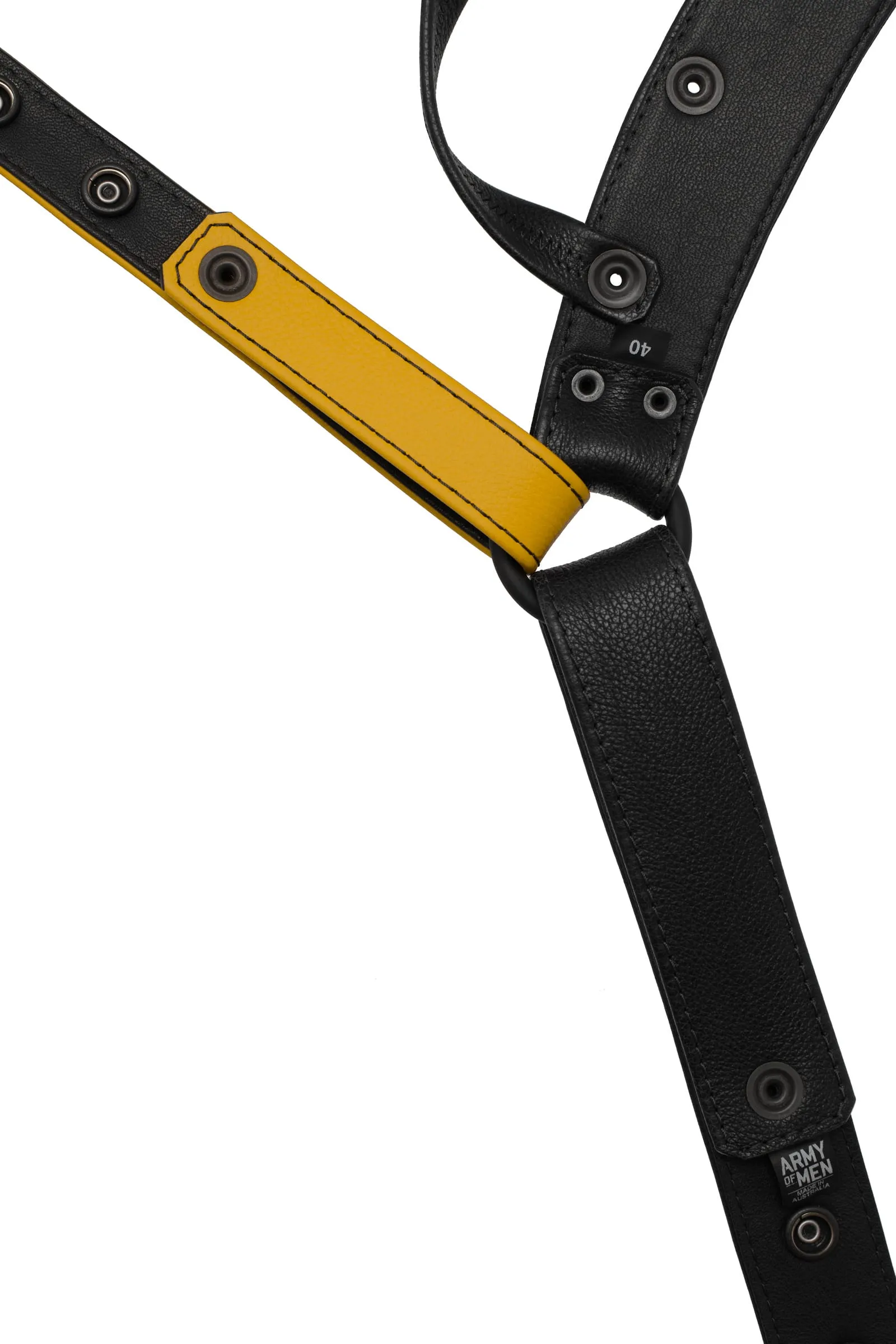 HARNESS JOCK - Colour 2.0