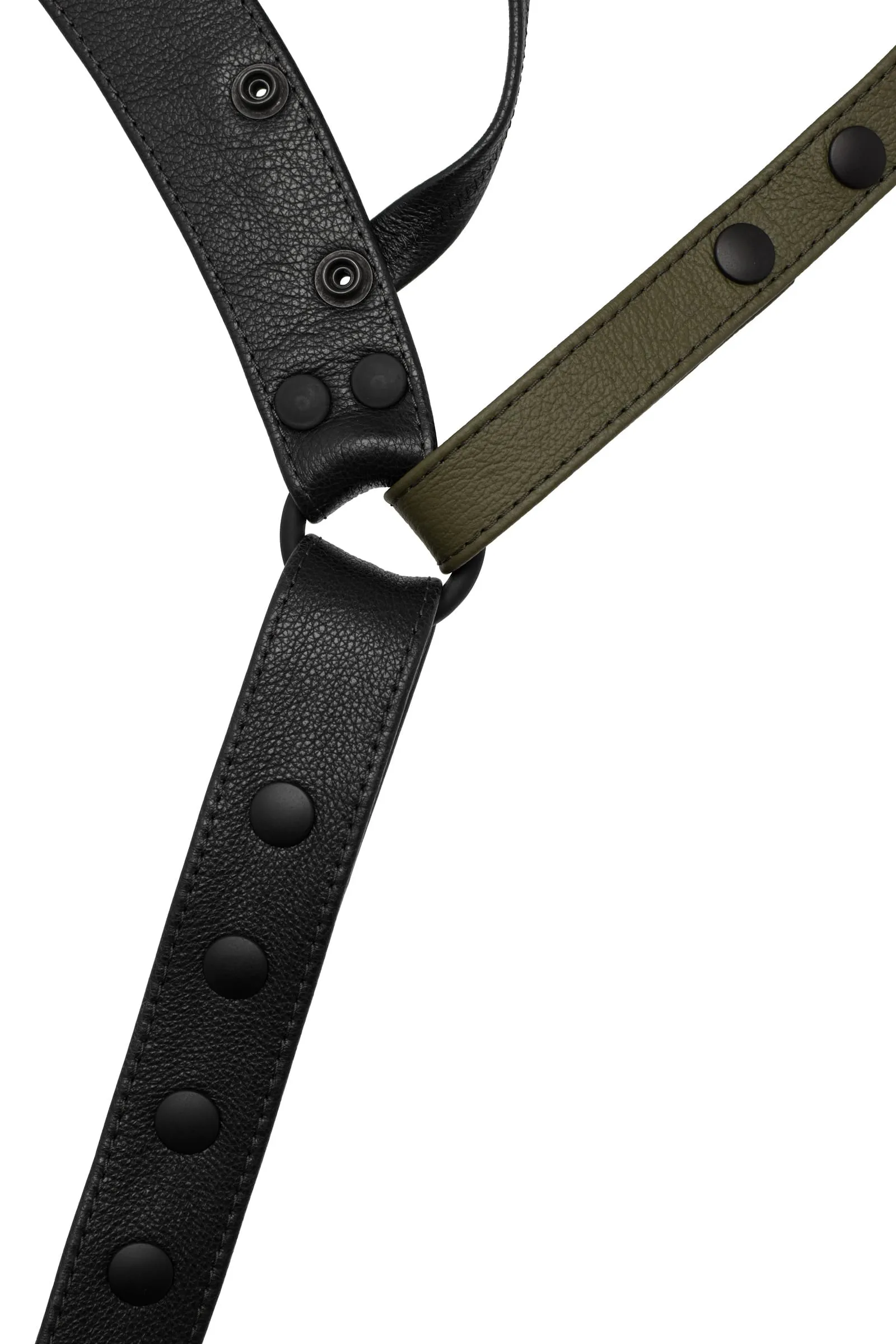 HARNESS JOCK - Colour 2.0