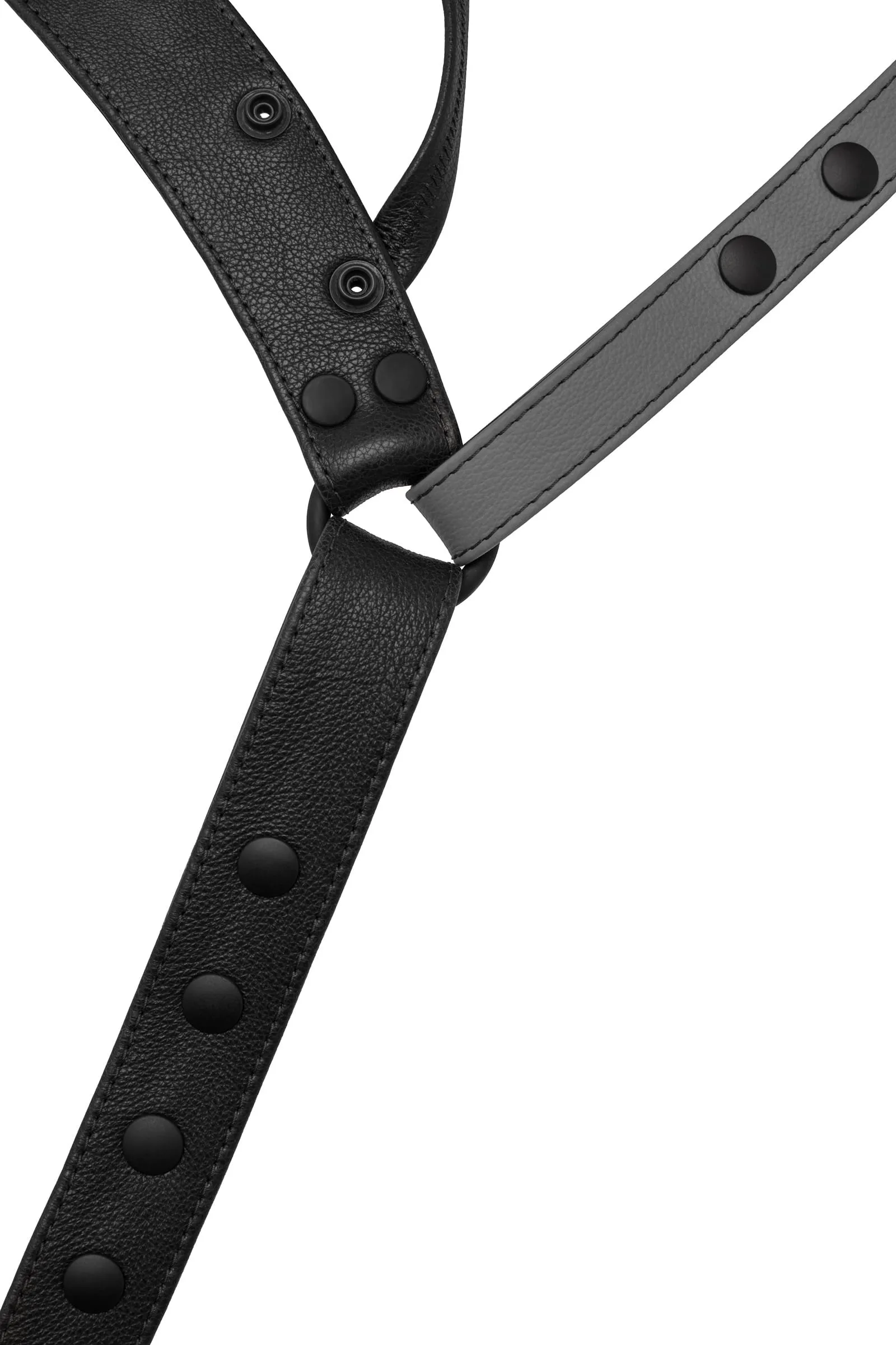 HARNESS JOCK - Colour 2.0