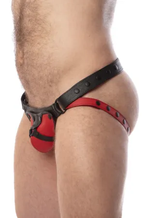HARNESS JOCK - Colour 2.0