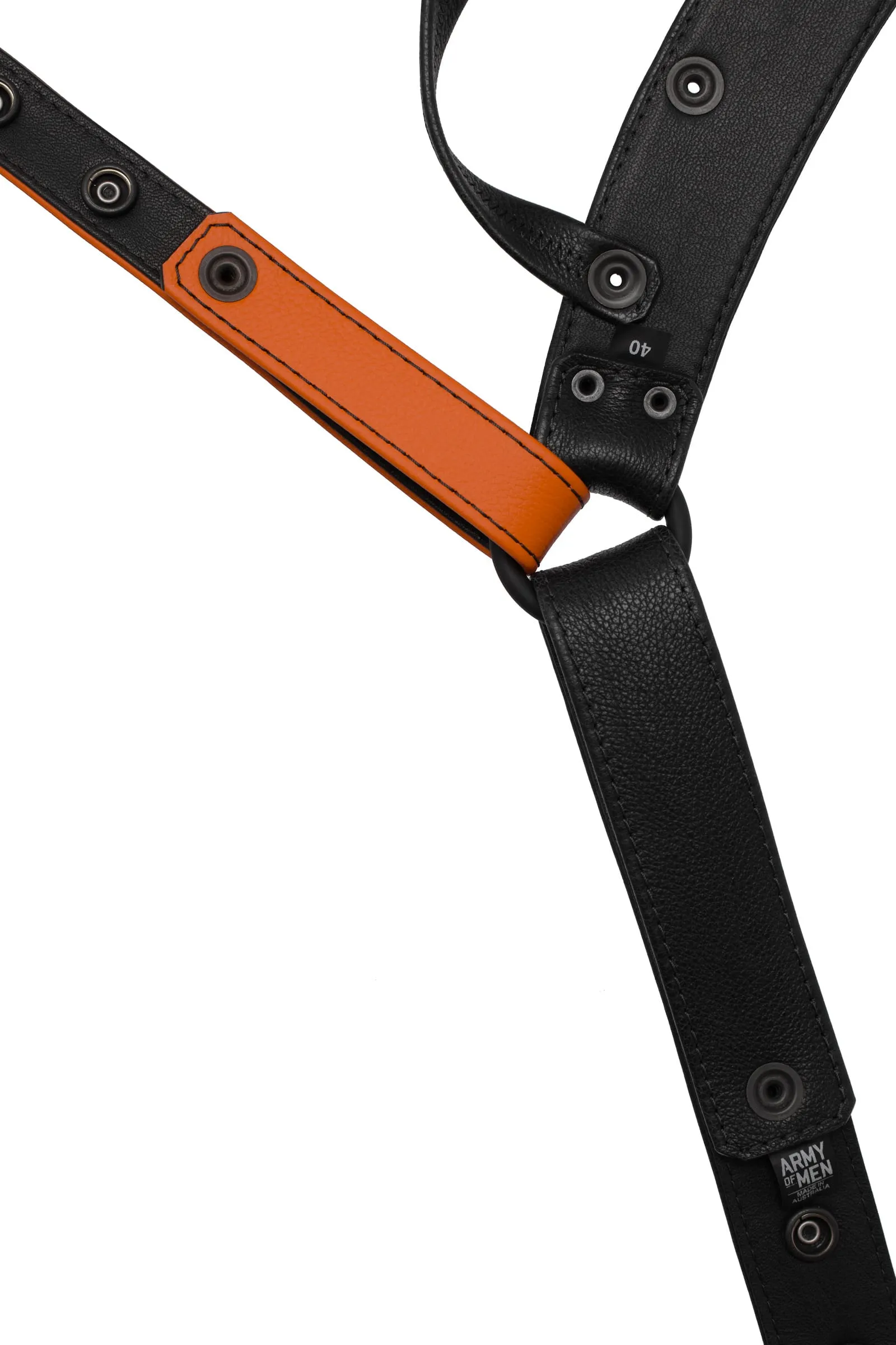 HARNESS JOCK - Colour 2.0
