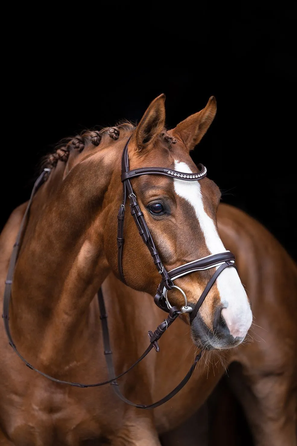 HKM Bridle Finja