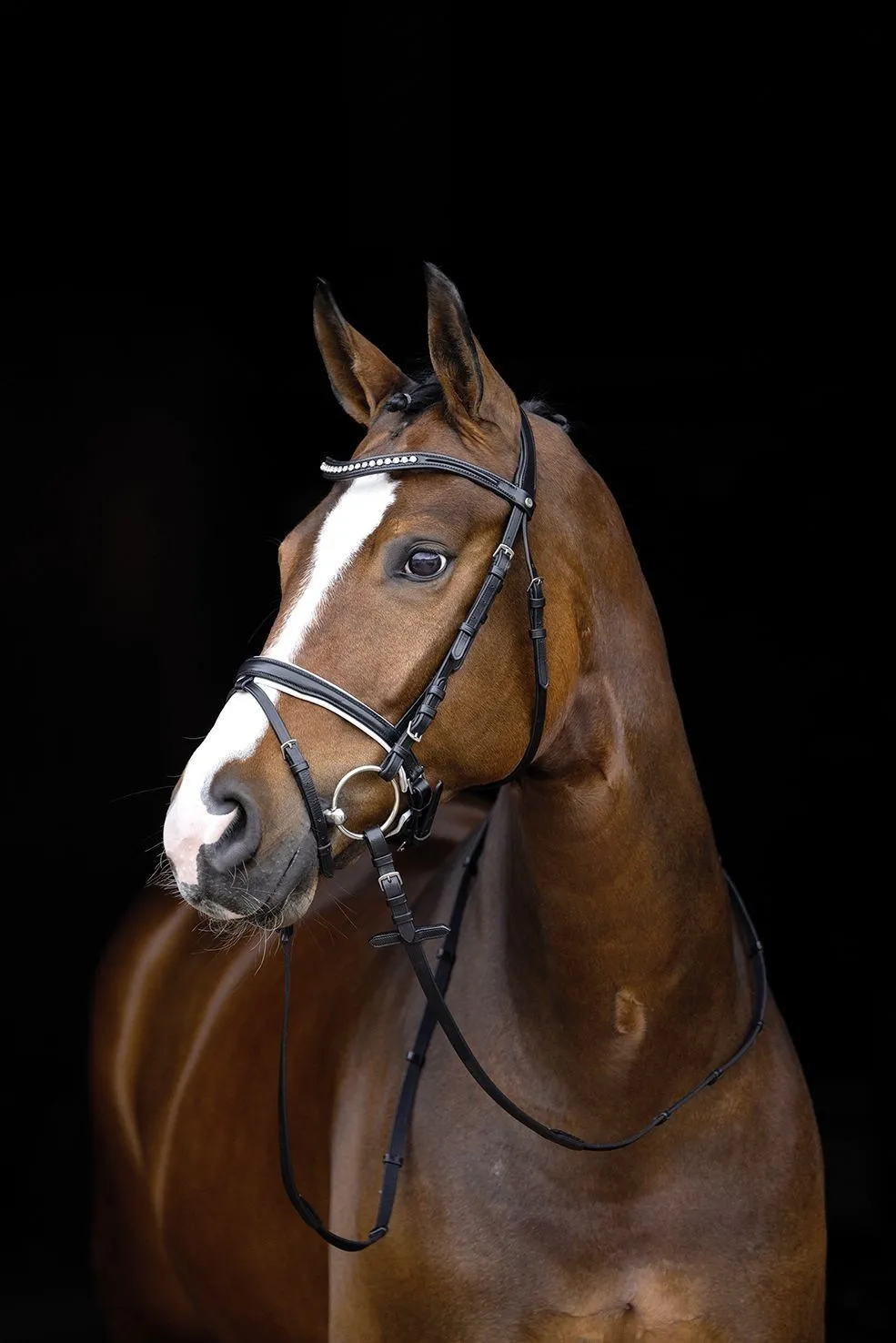 HKM Bridle Finja