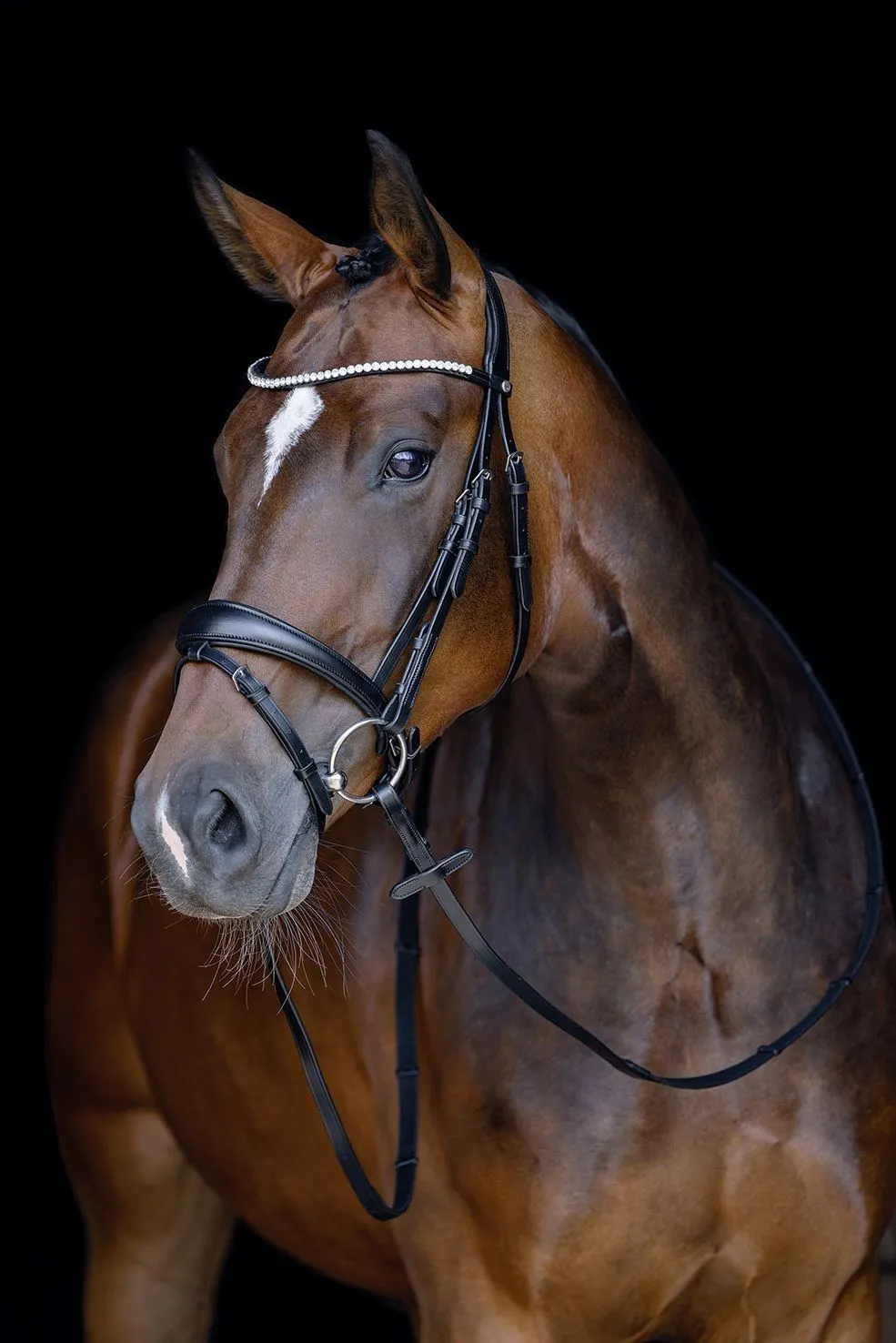 HKM Bridle Melinda