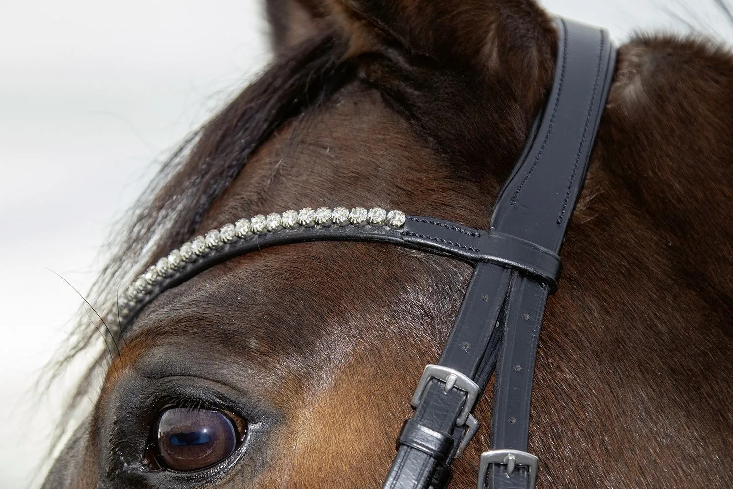 HKM Bridle Melinda