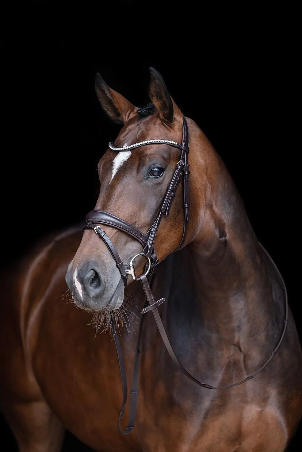 HKM Bridle Melinda