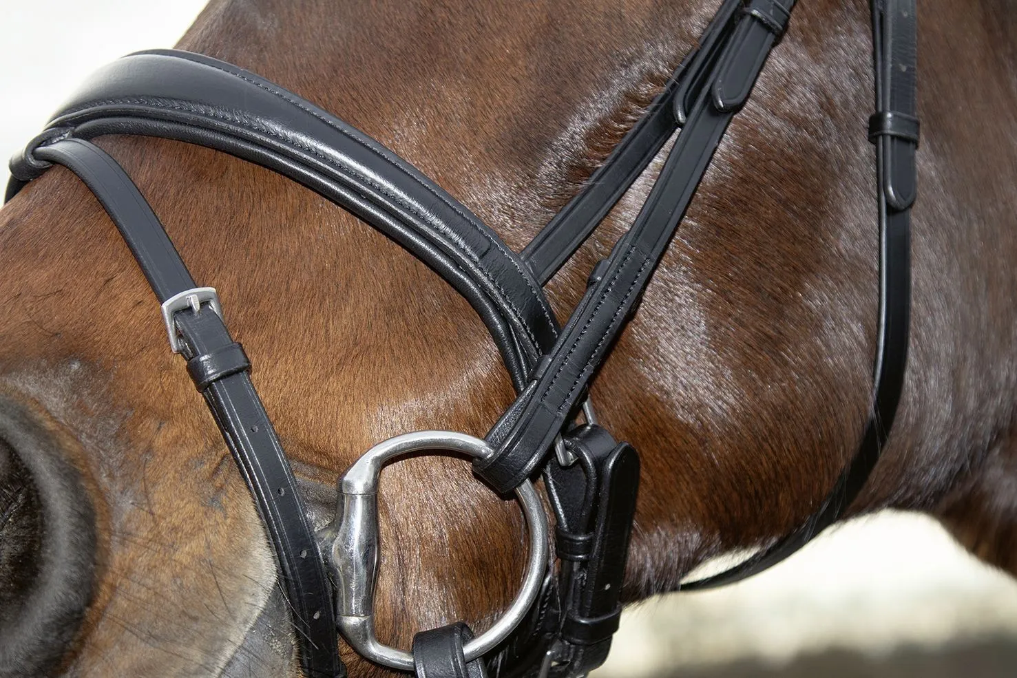 HKM Bridle Melinda