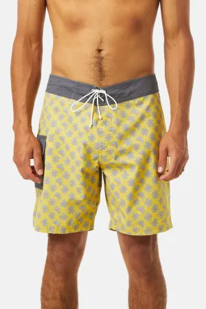 Mache Trunk